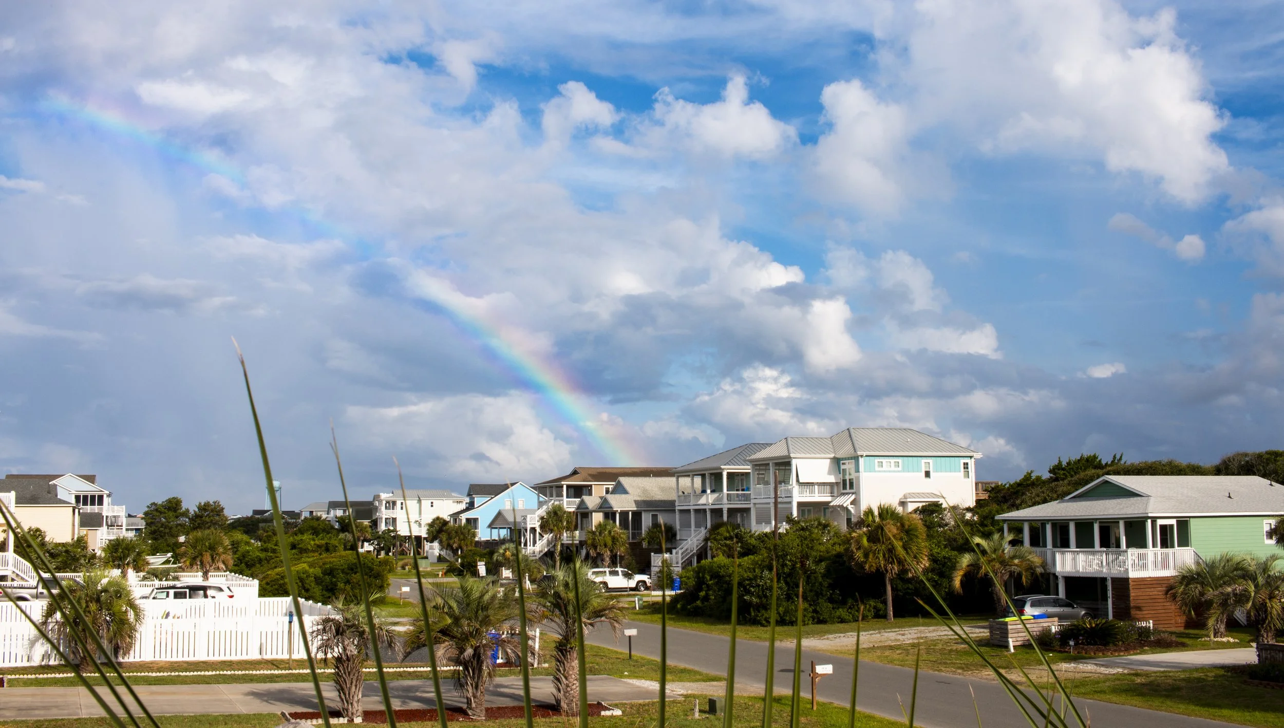 _MG_6850.jpg