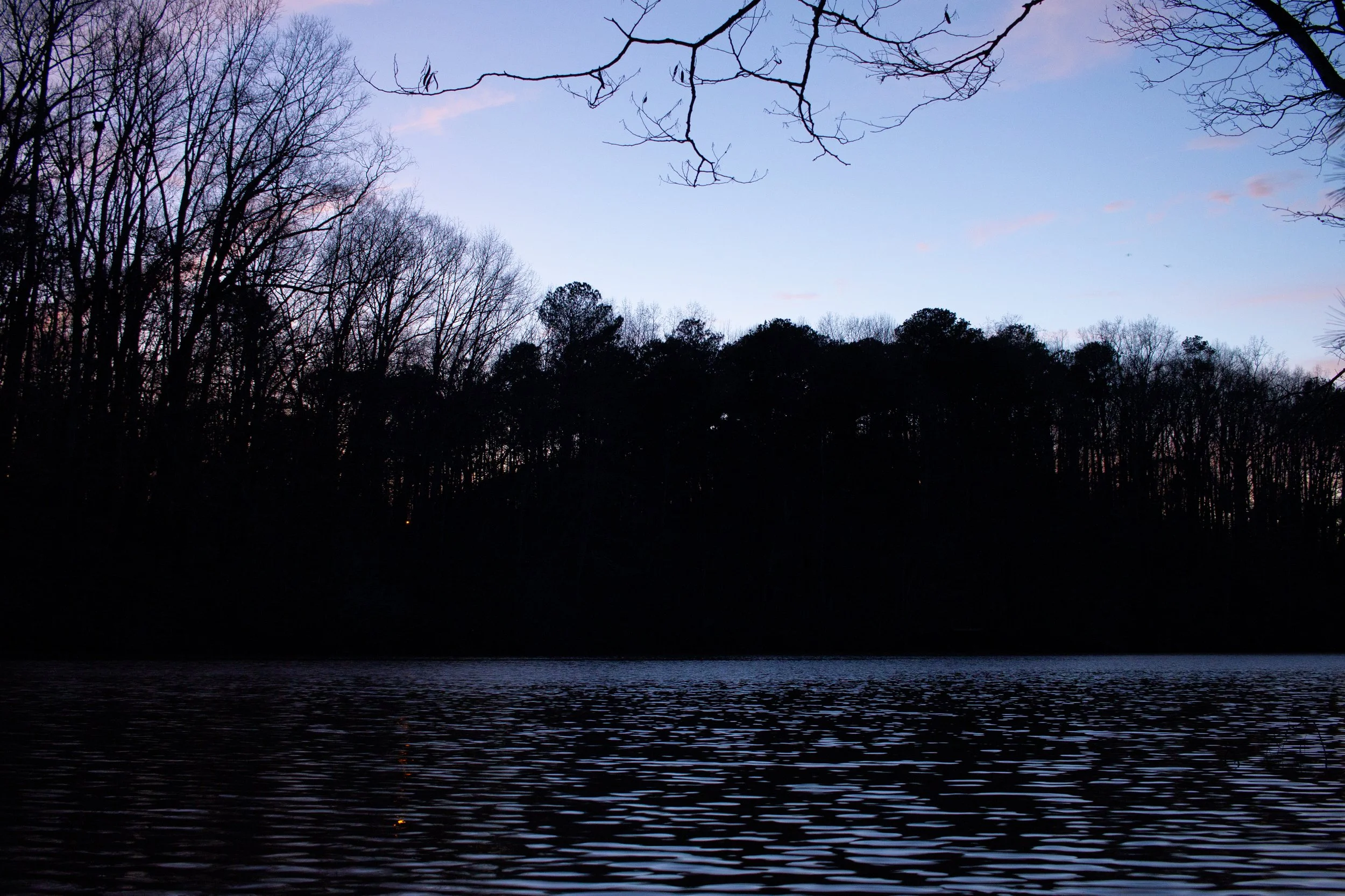 _MG_4184.jpg