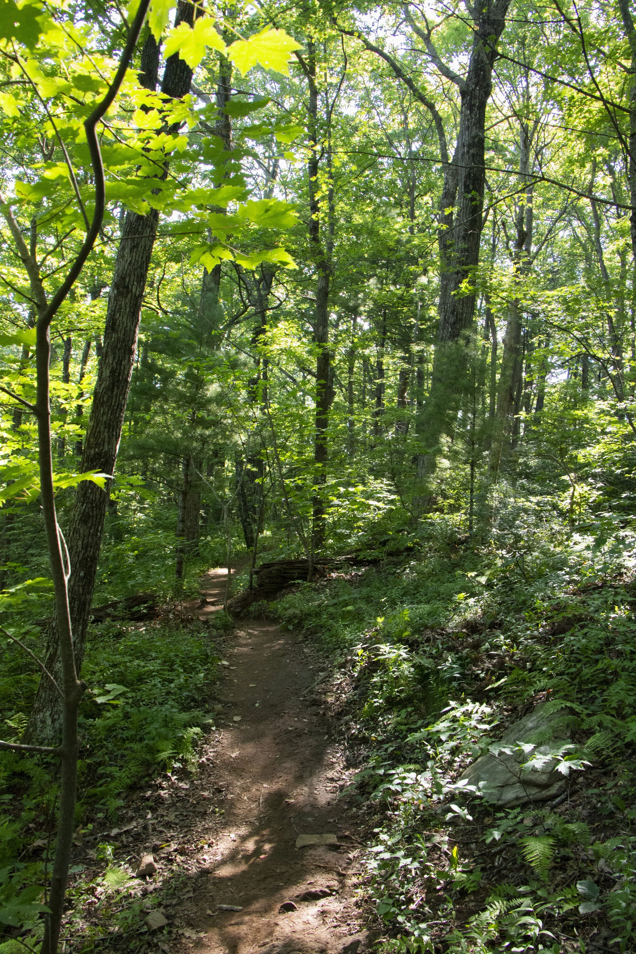 _MG_9779.JPG