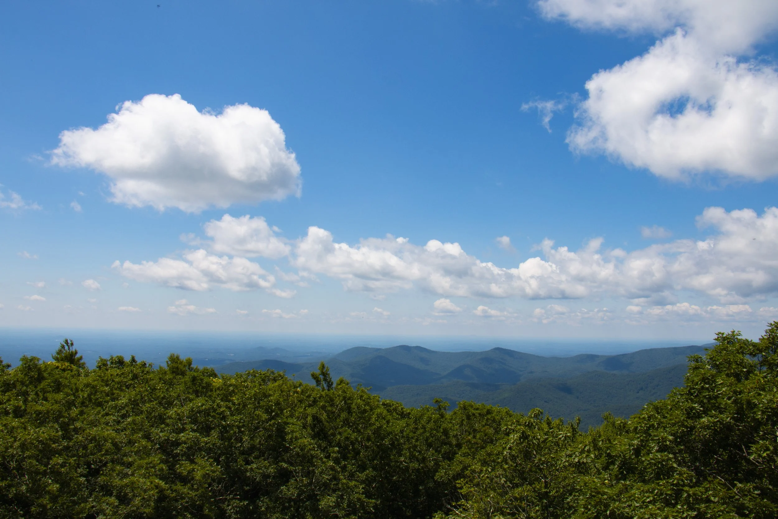 _MG_9810.JPG