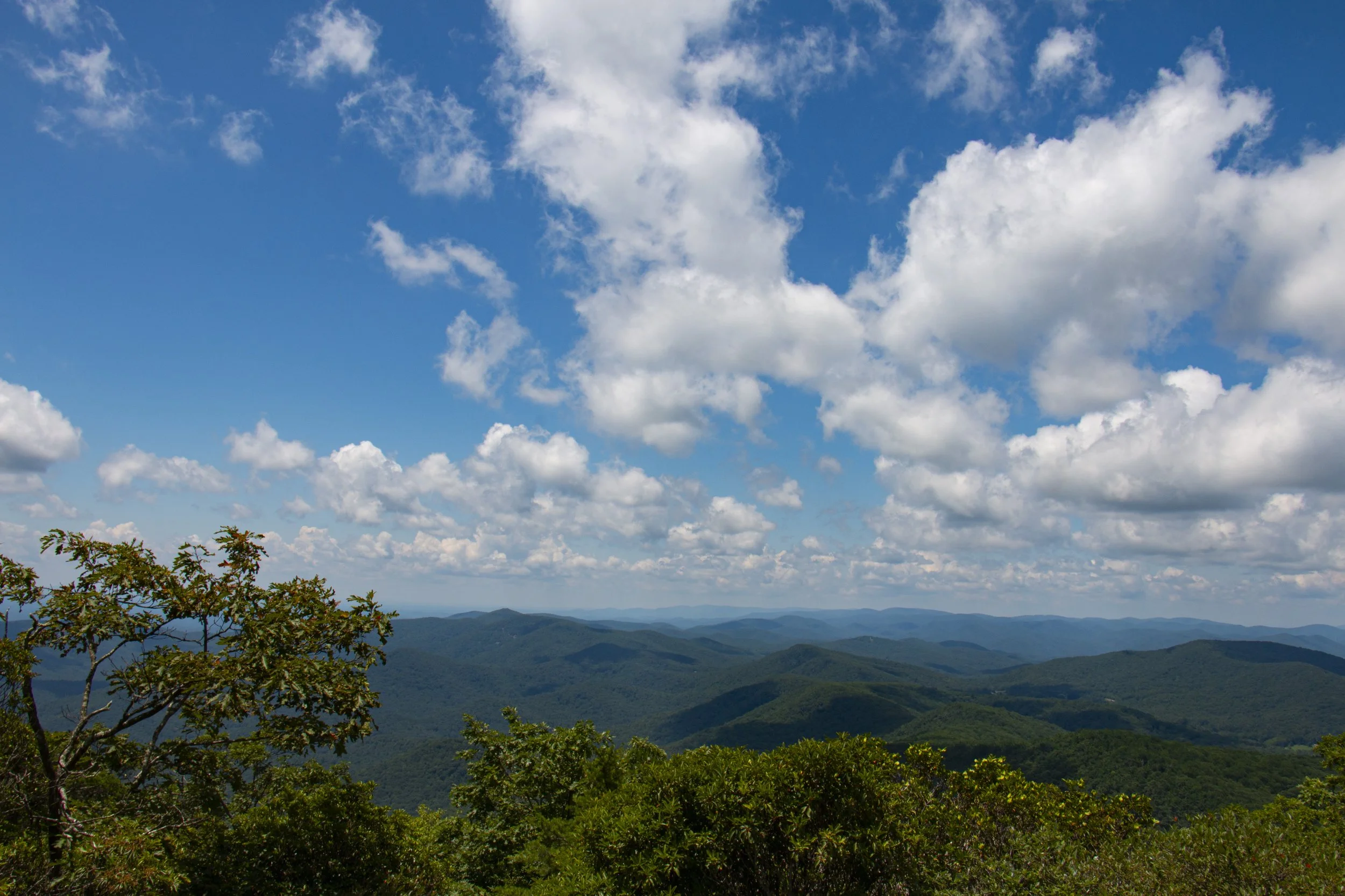 _MG_9830.JPG