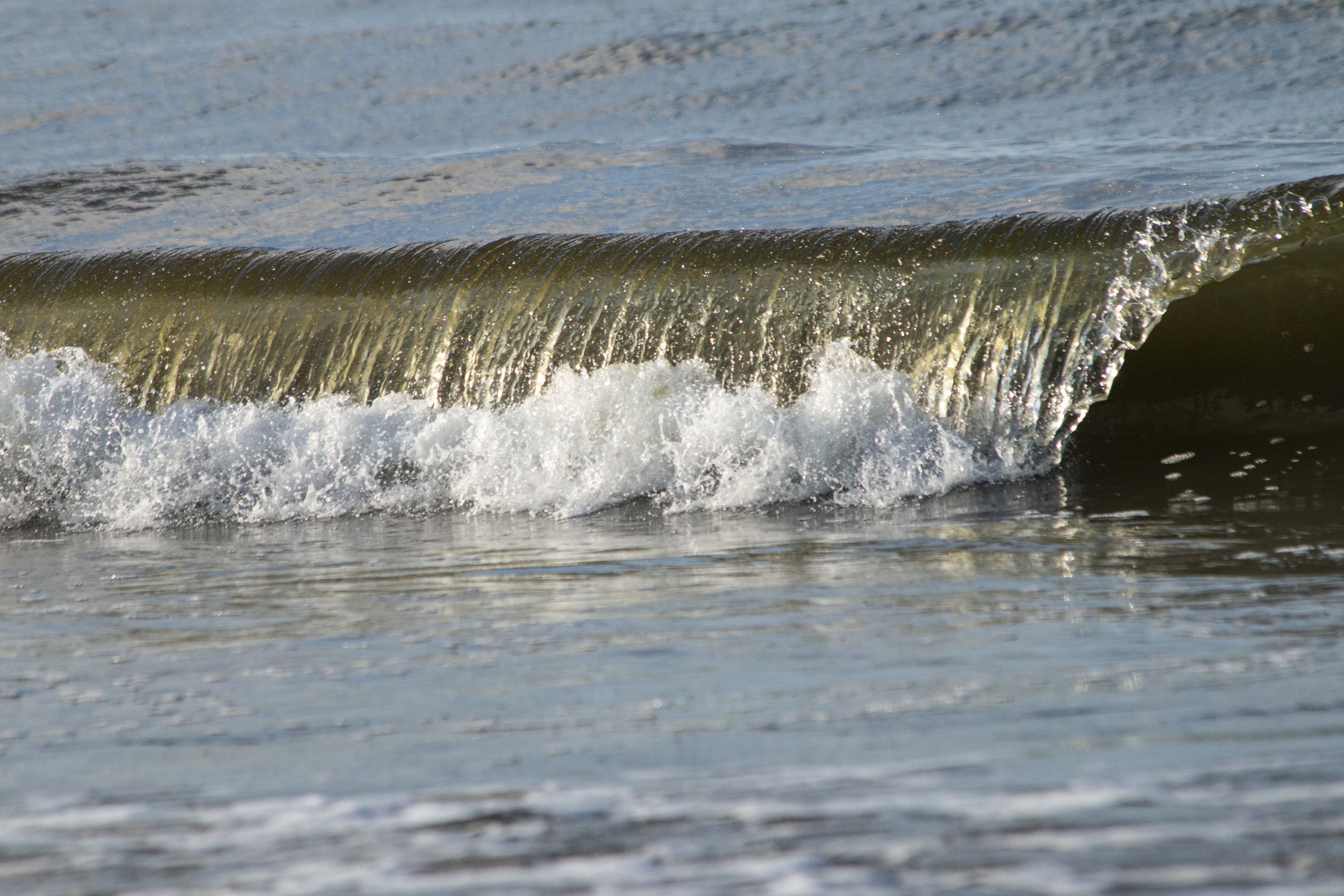 _MG_6702.jpg