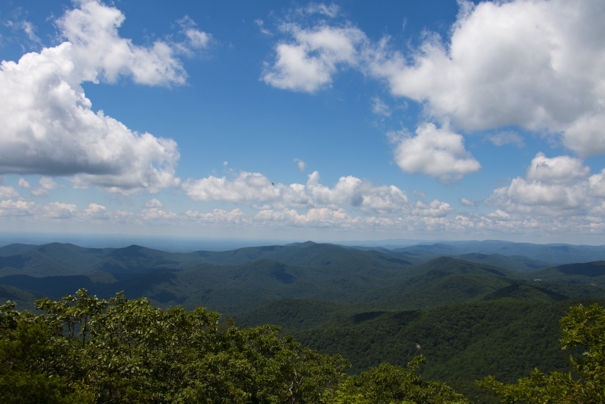 _MG_9826.JPG