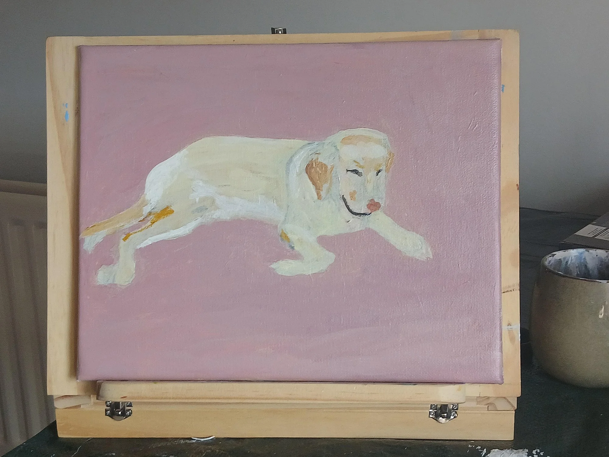 Dominic Batchelor pet portraits