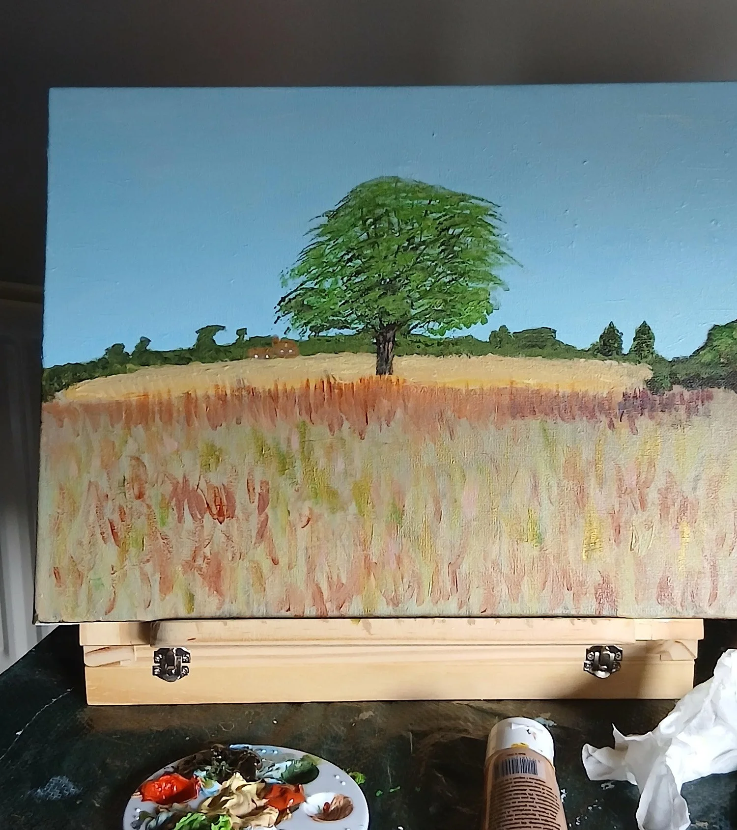 Summer meadow by Dominic Batchelor artist