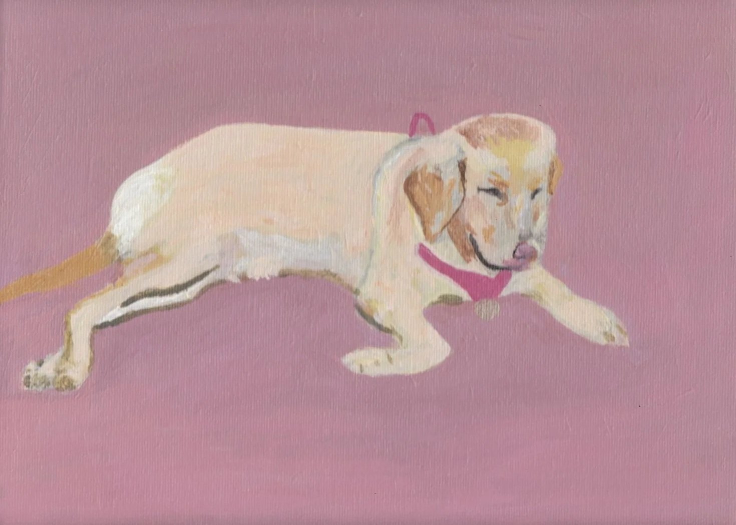pet-portraits-dominic-gordon-batchelor.jpg