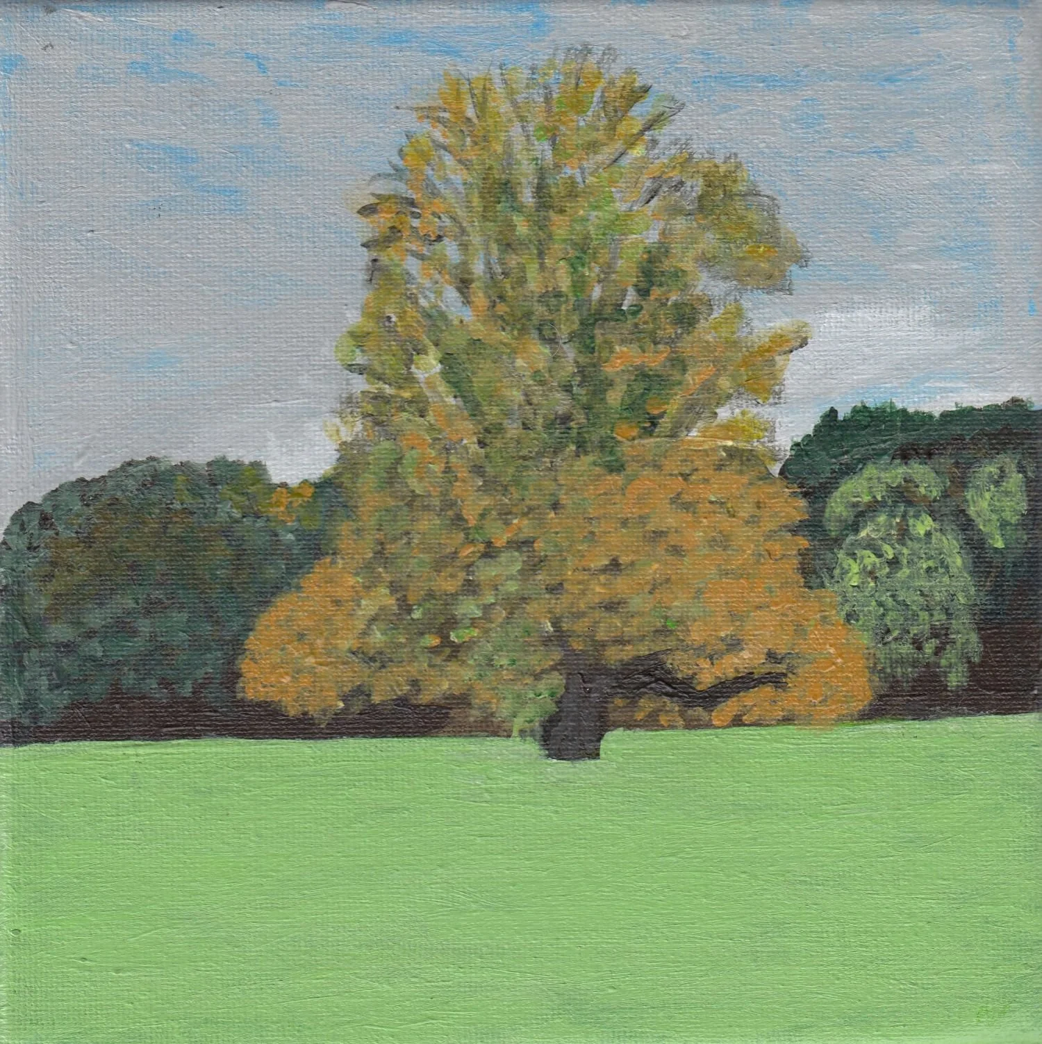 Autumn Glory by Dominic Gordon Batchelor