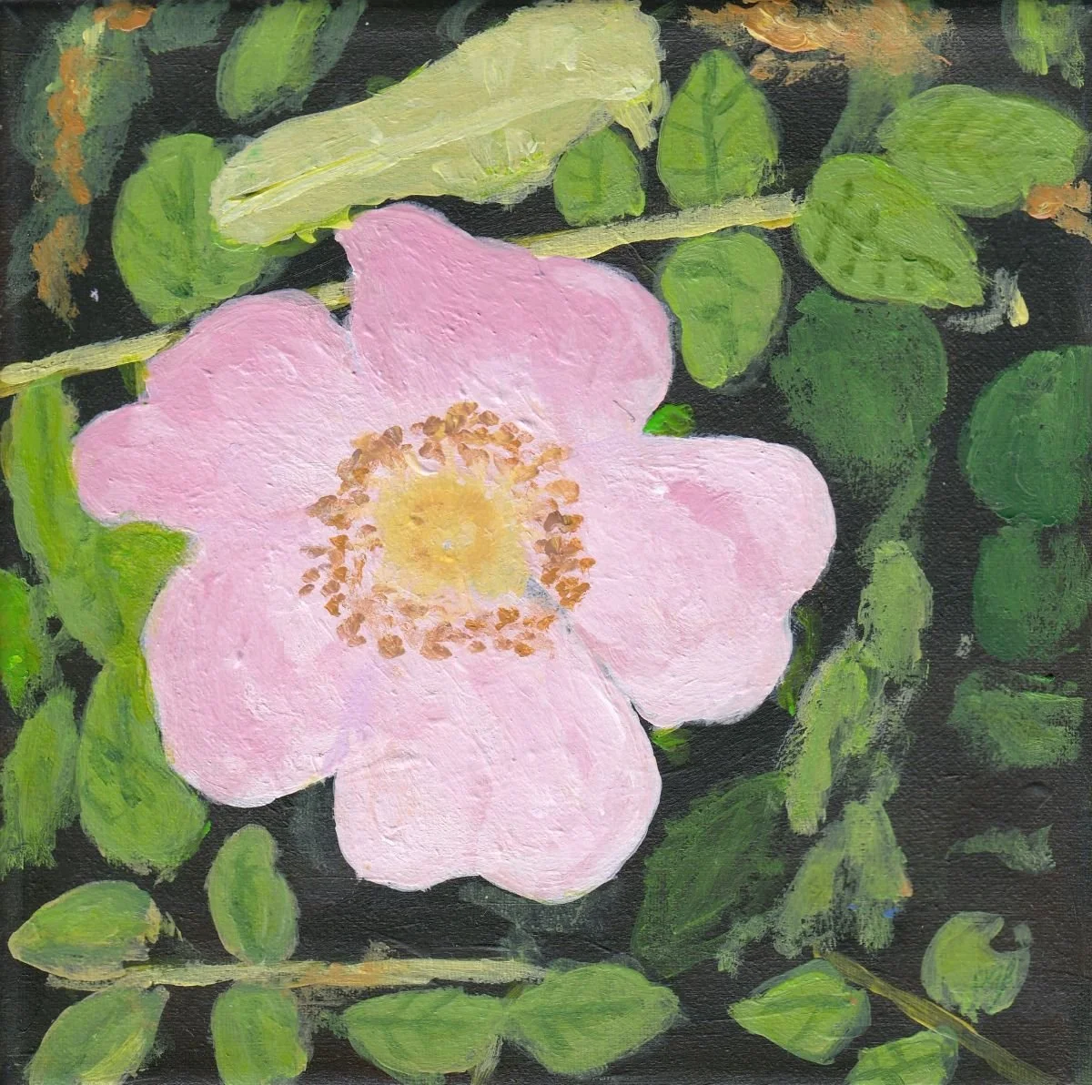 Sweetbriar Rose by Dominic Gordon Batchelor