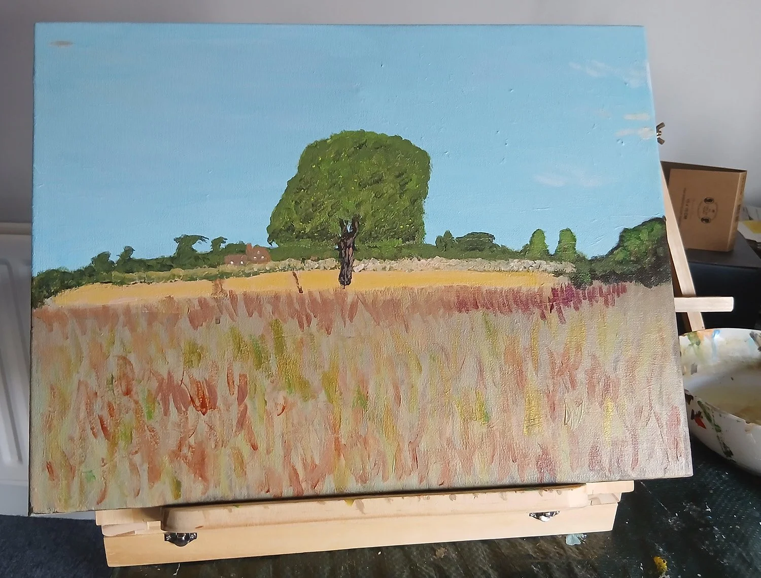 Summer Meadow