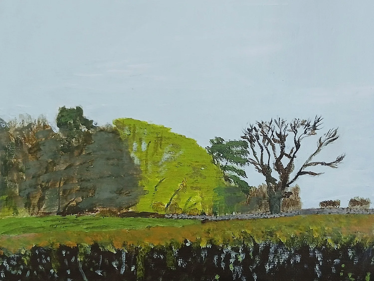 Capel Spring Hedgerows