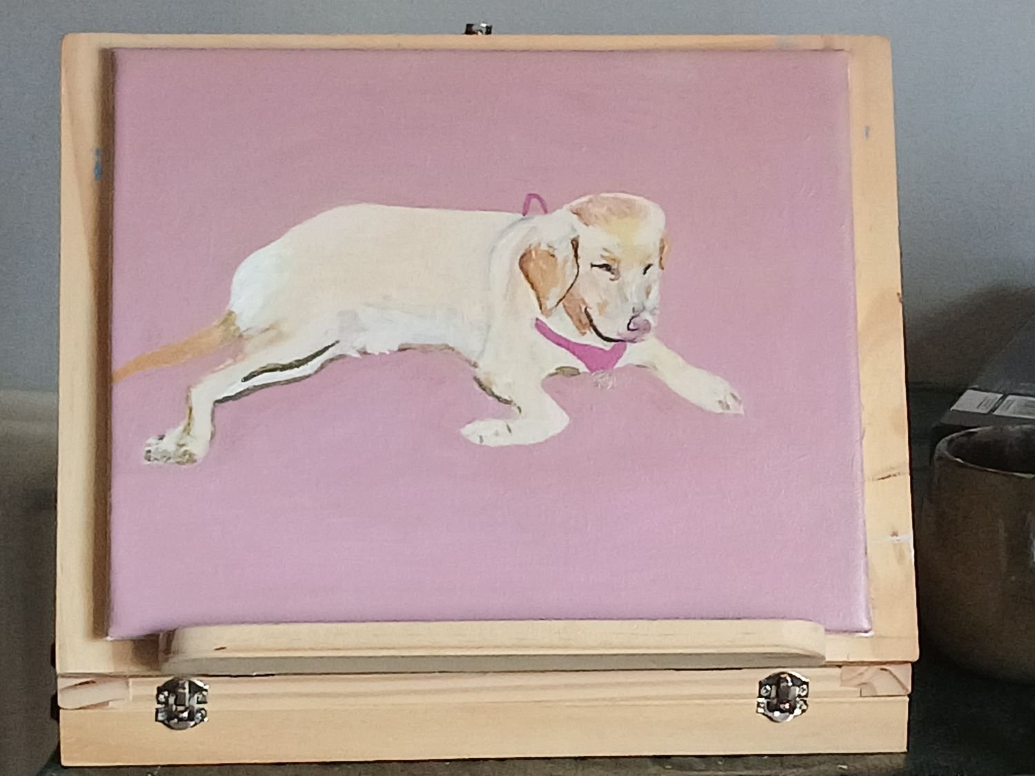 Pet portraits by Dominic Gordon Batchelor