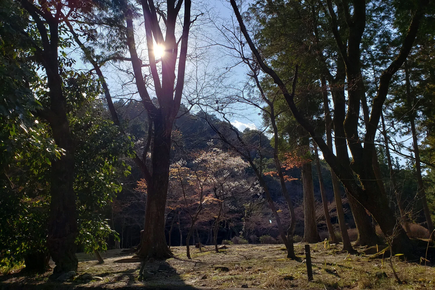82-Japan.jpg