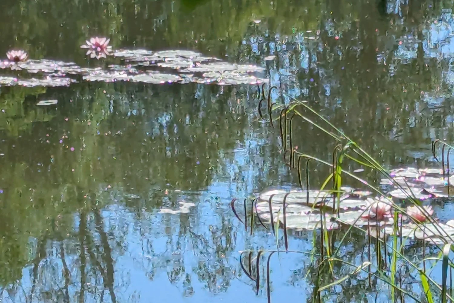 Giverny
