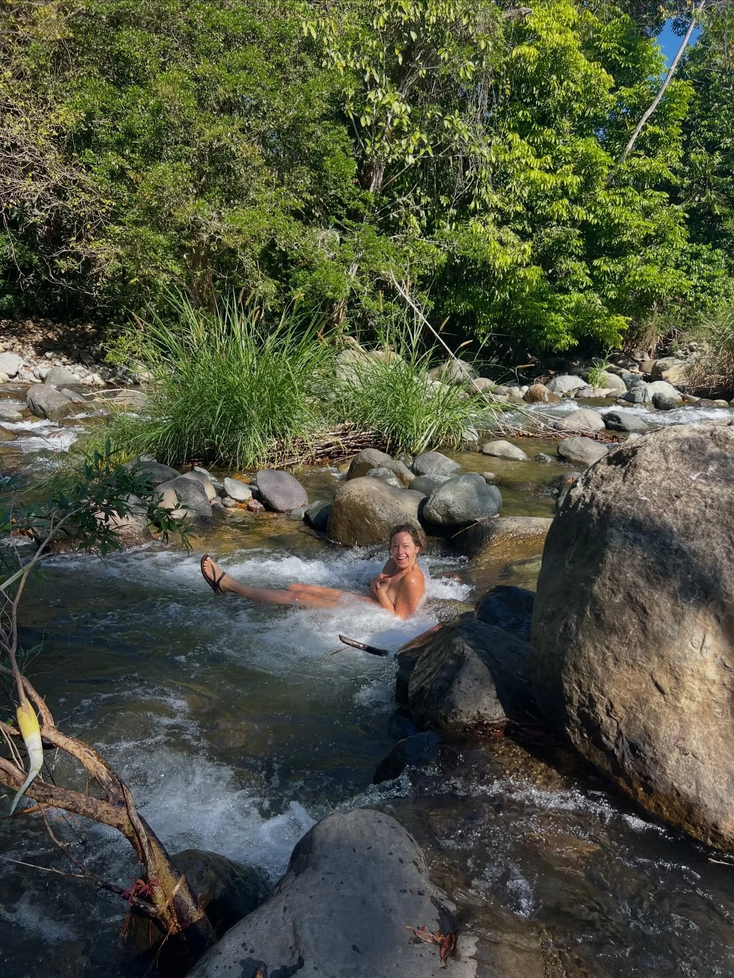 Part 1 of 2025 because I refuse to trim my love😘

🌹Guatemala @casacurativa and ceremon&iacute;a con mis hermanas @letiziaxiuh @shahaf.shvarzman @guidedbyanura @tejiendoremedios 

🌺Costa Rica herbalism with the best @celiahale @sarahwu.villagewitch