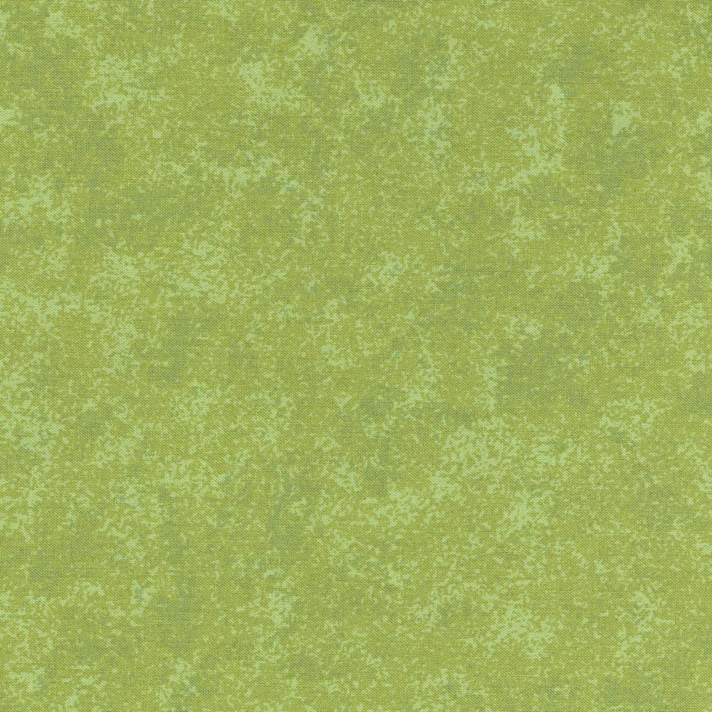 Makower Spraytime 2800-G36