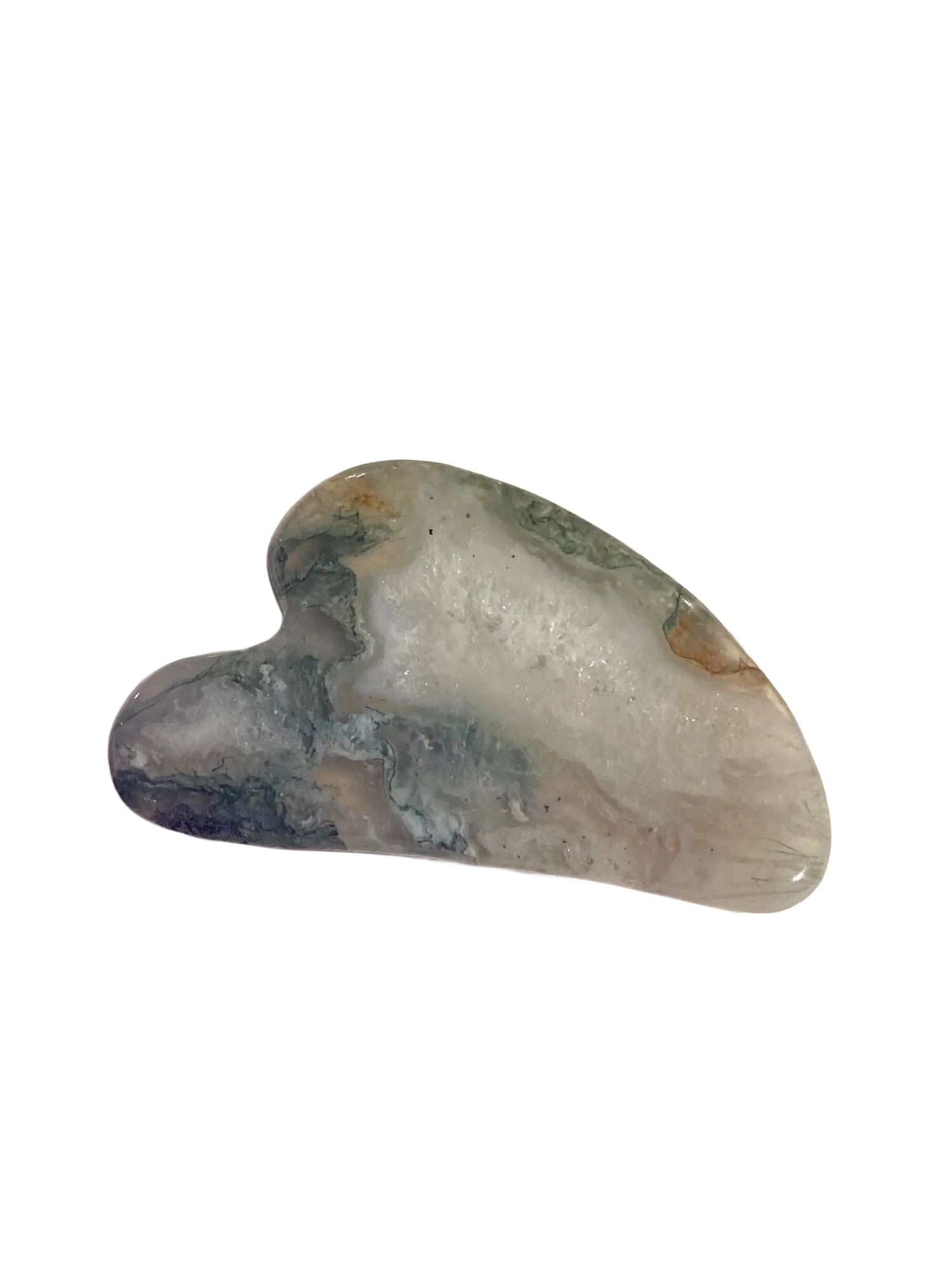 800B3599-5502-405F-BCC7-32066925EE5A.png