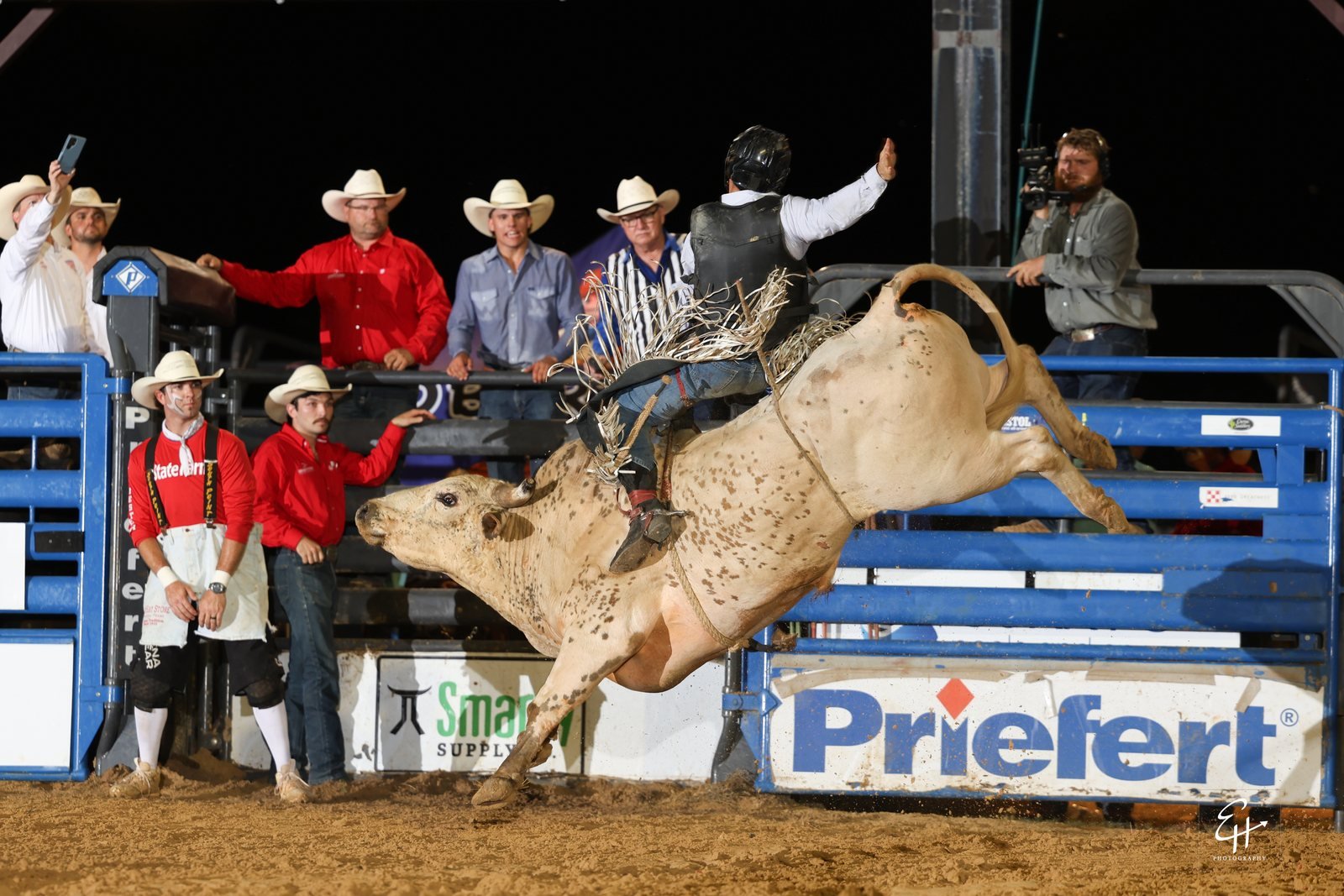 07_bull_TW9A6716.jpg