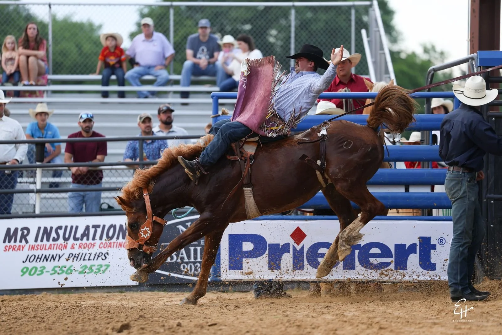 01_bronc_TW9A4827.jpg