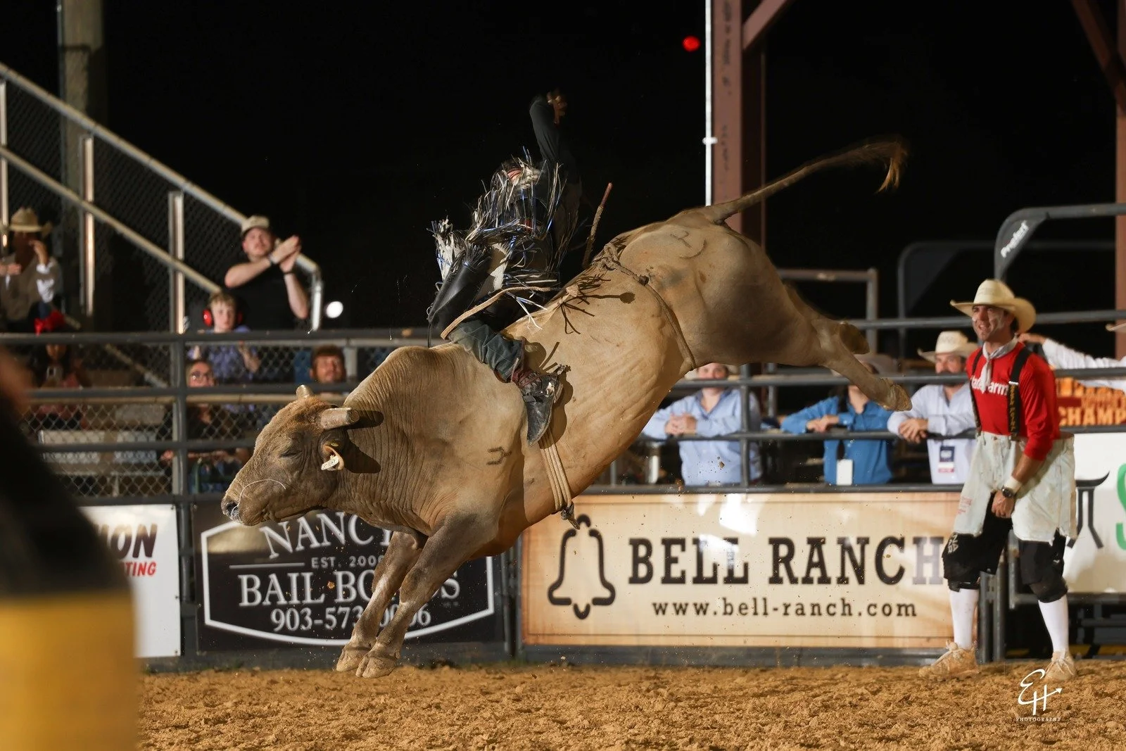 08_bull_TW9A6727.jpg
