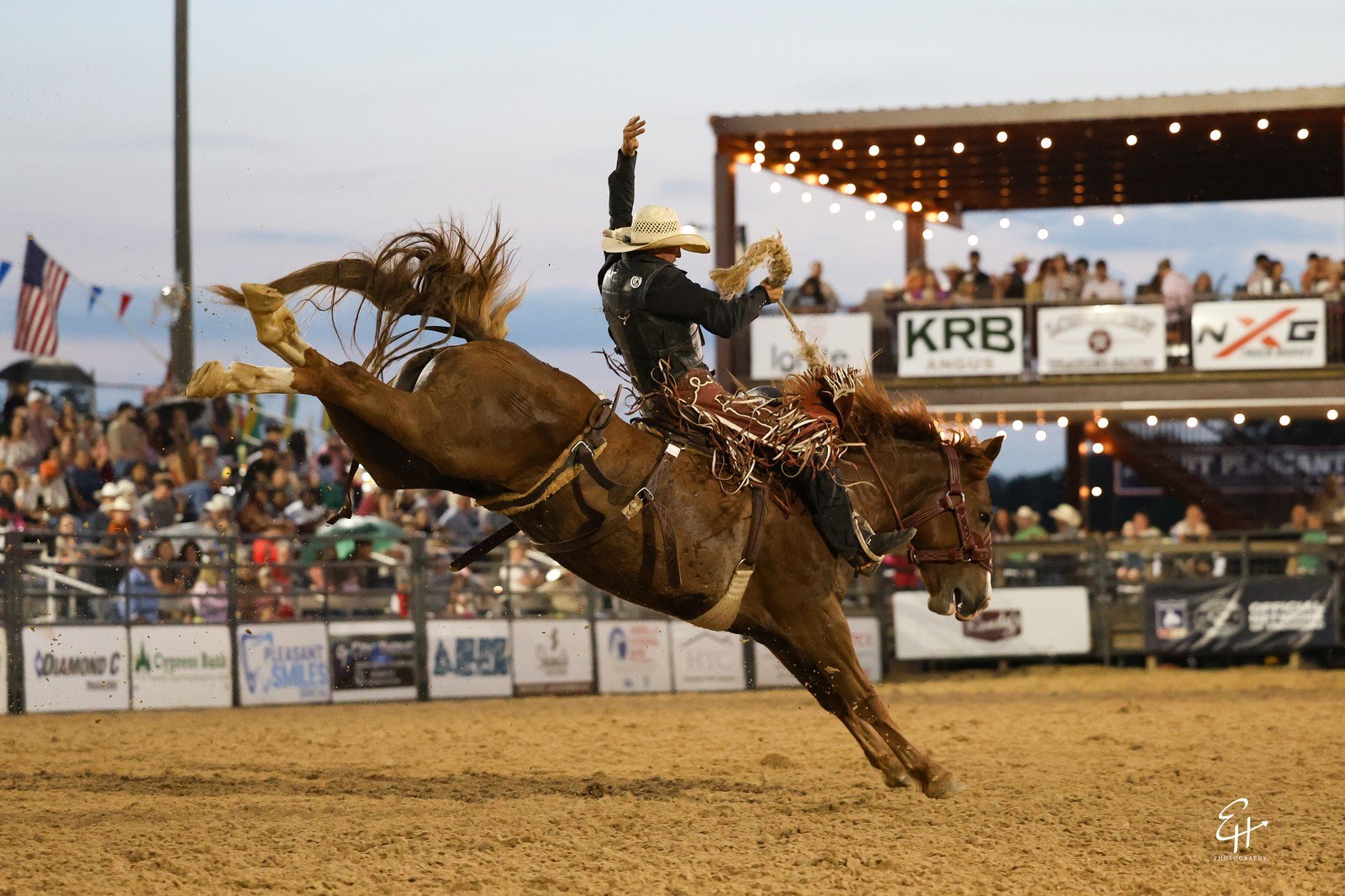 02_bronc_TW9A5313.jpg
