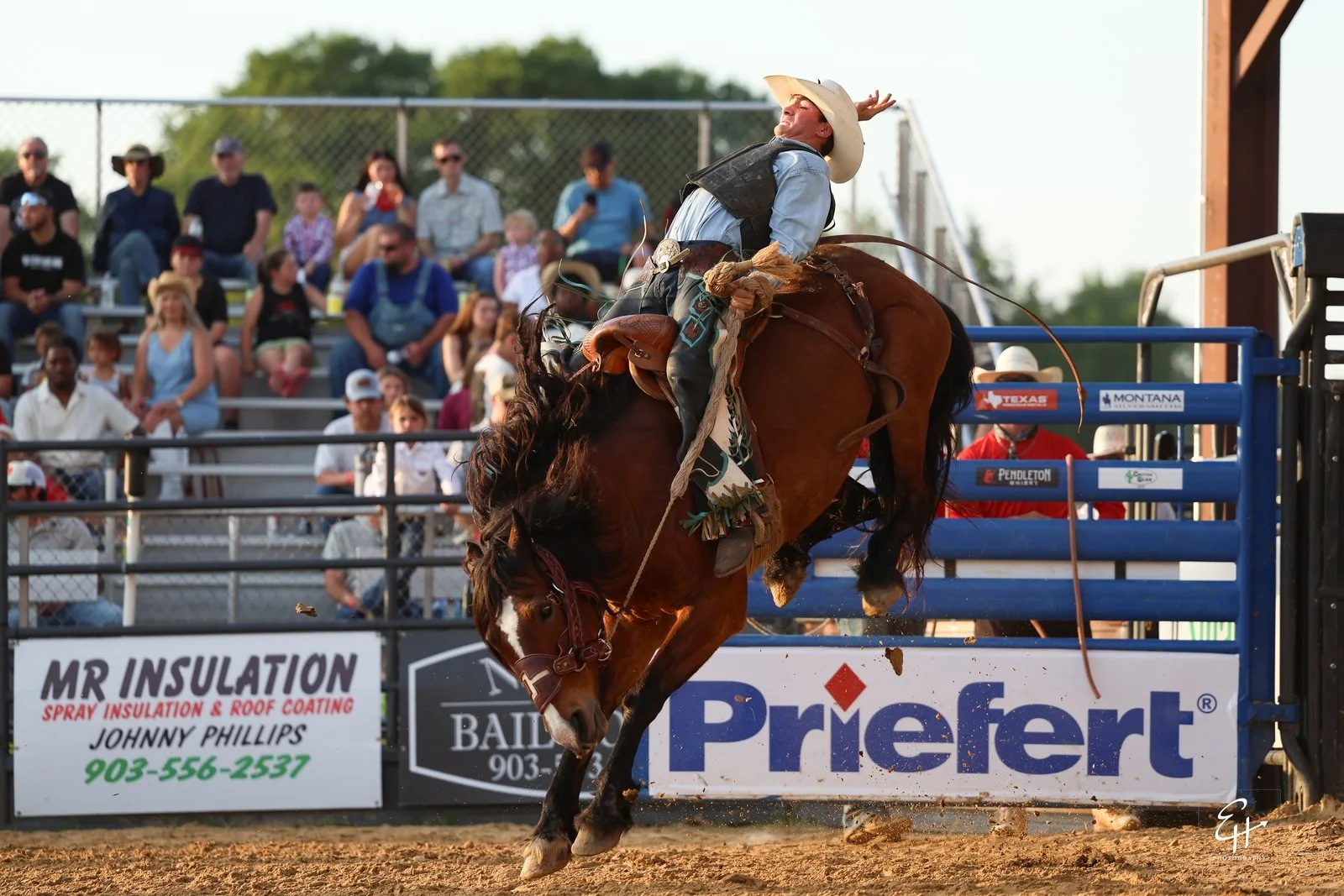 03_bronc_TW9A7050.jpg