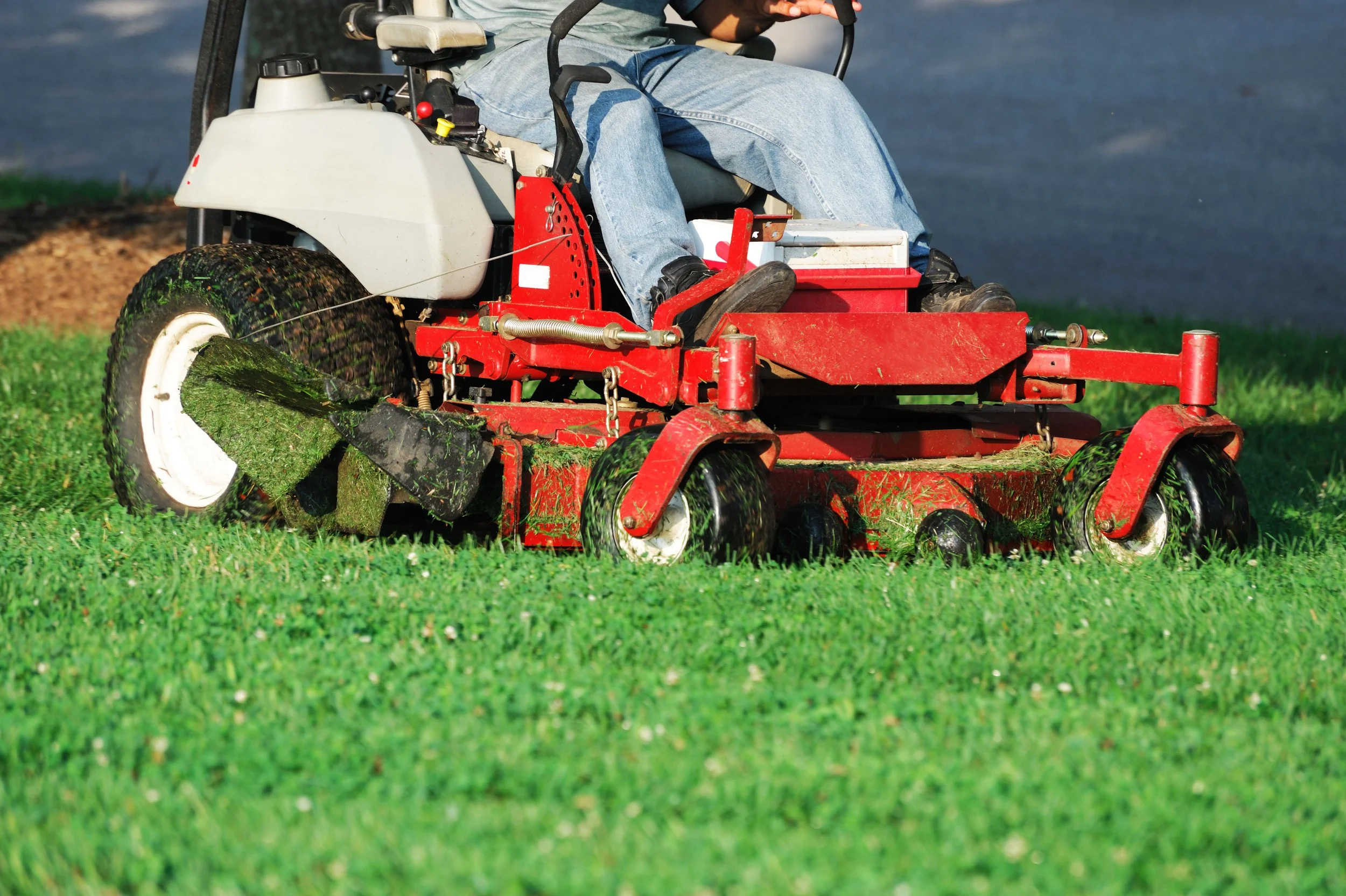 5 Reasons to Hire Lawn Care Services Before You Sell Your Home