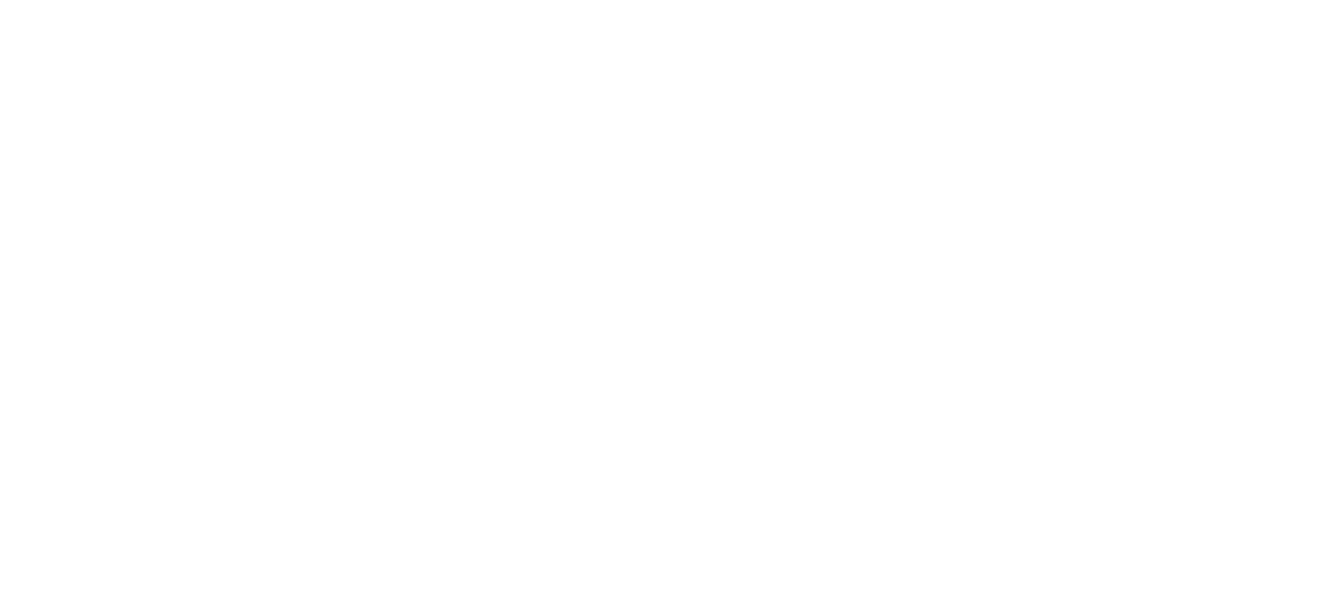 Thomas Allan Photography 