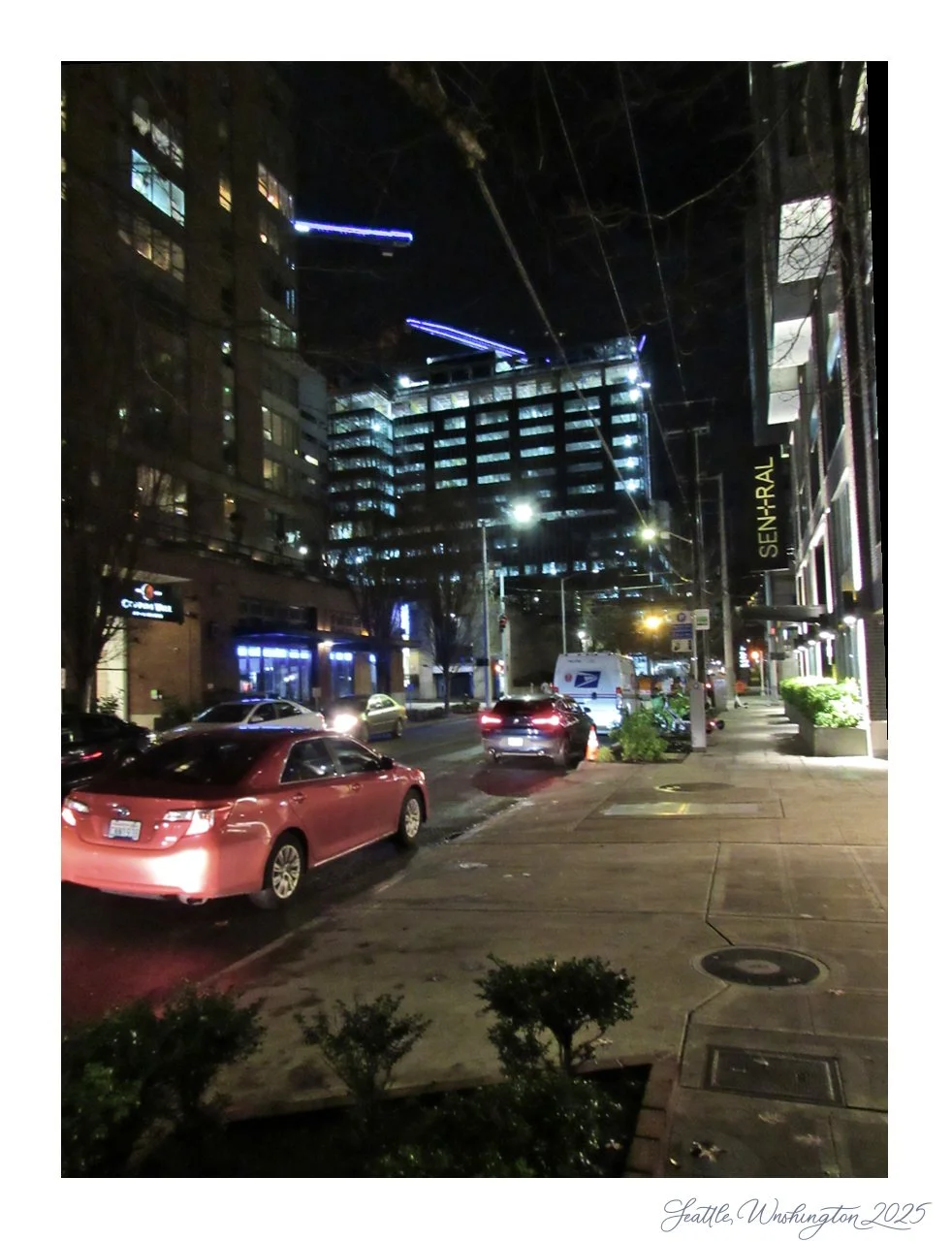 IMG_2175.jpg