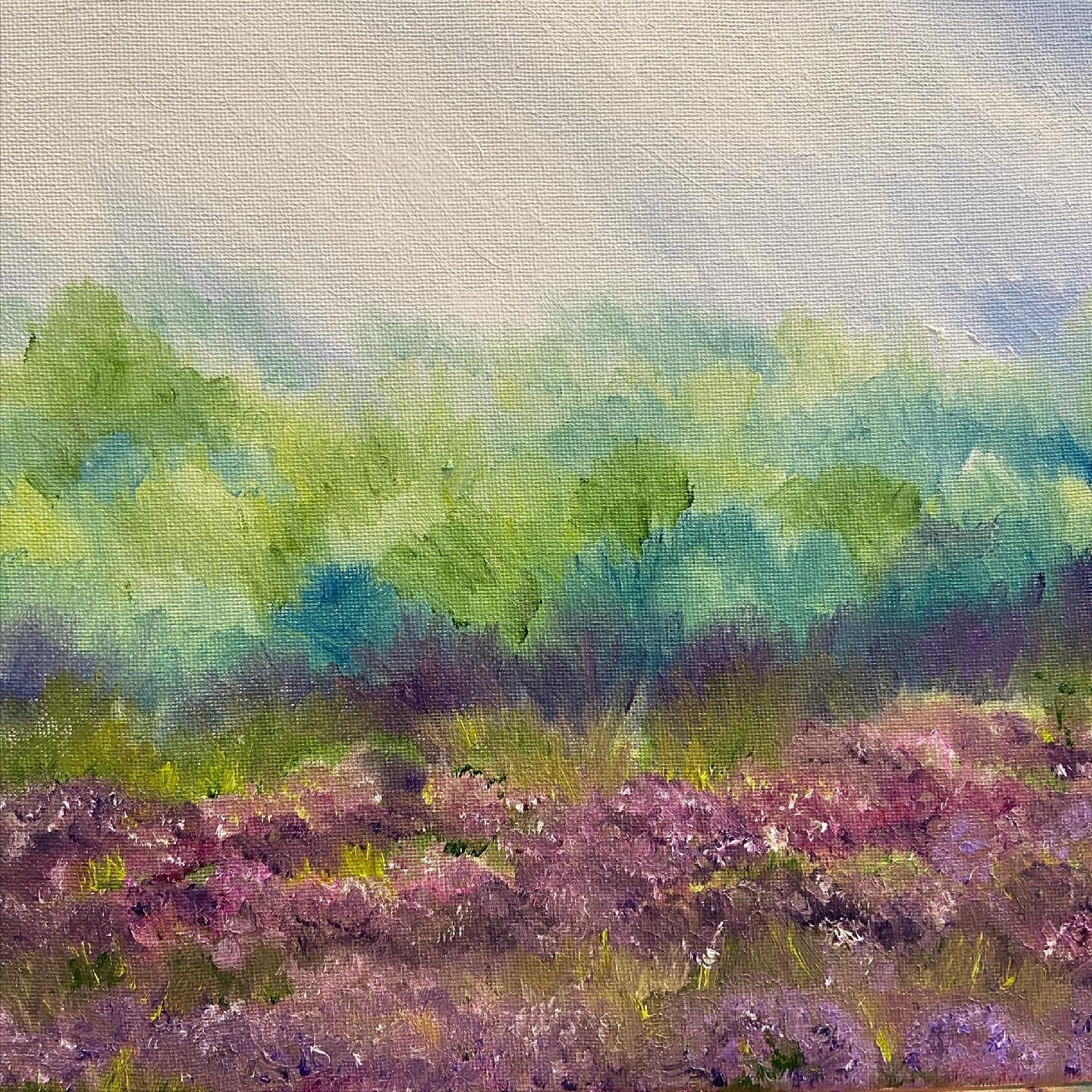 First attempt in oils for a series of work inspired by the beautiful and colourful #newforest.  Trying to capture the feeling of being there surrounded by the trees and the heather.  Every changing, C x❤️🙏