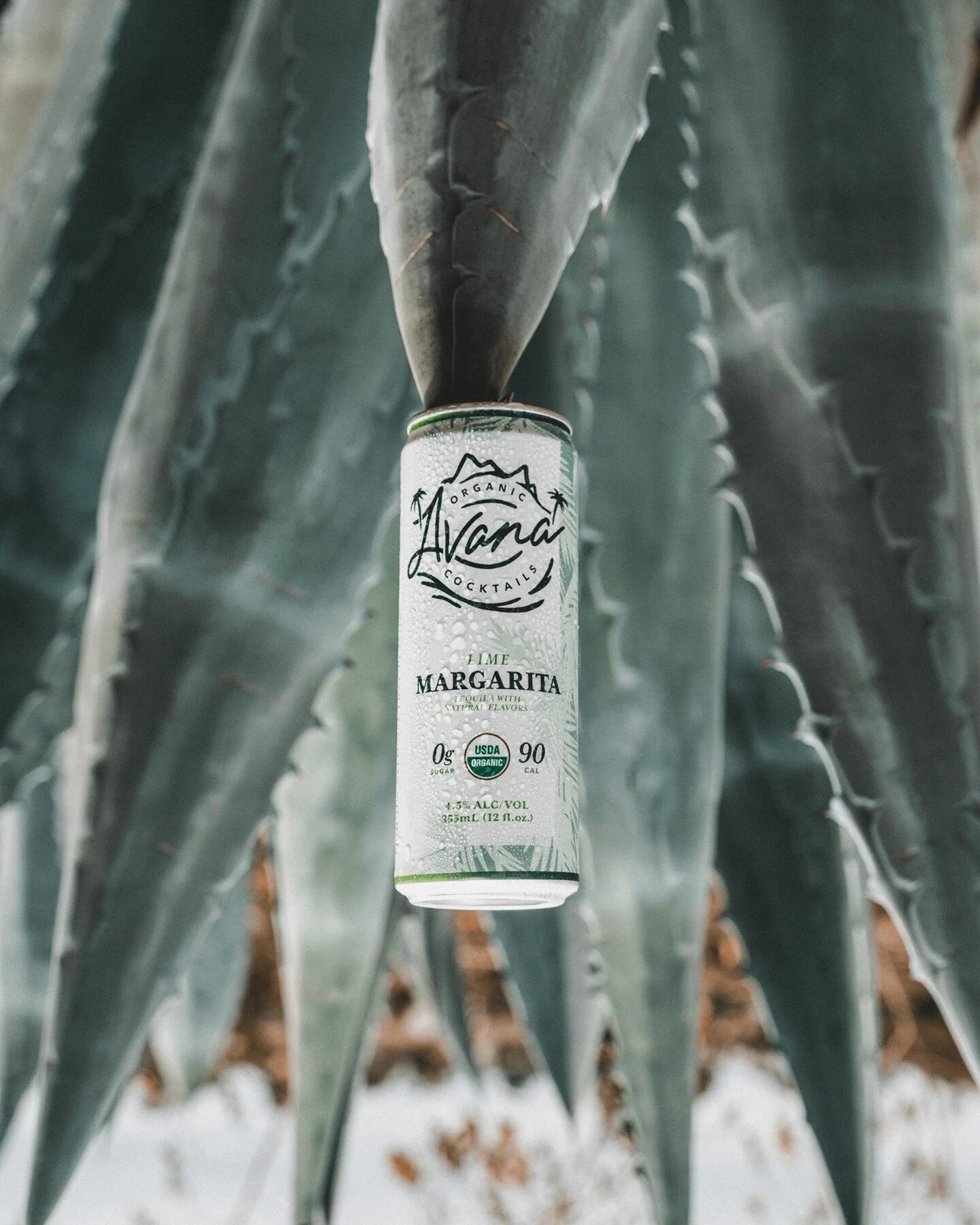 An authentic margarita taste, complemented with an all-natural organic lime flavor 🌟🌵
.
.
.
#drinkavana #usdacertified #usdaorganic #paloma #margarita #theorganicbuzz #organicbuzz #avanacocktails #sparklingcocktail #tequila #lime