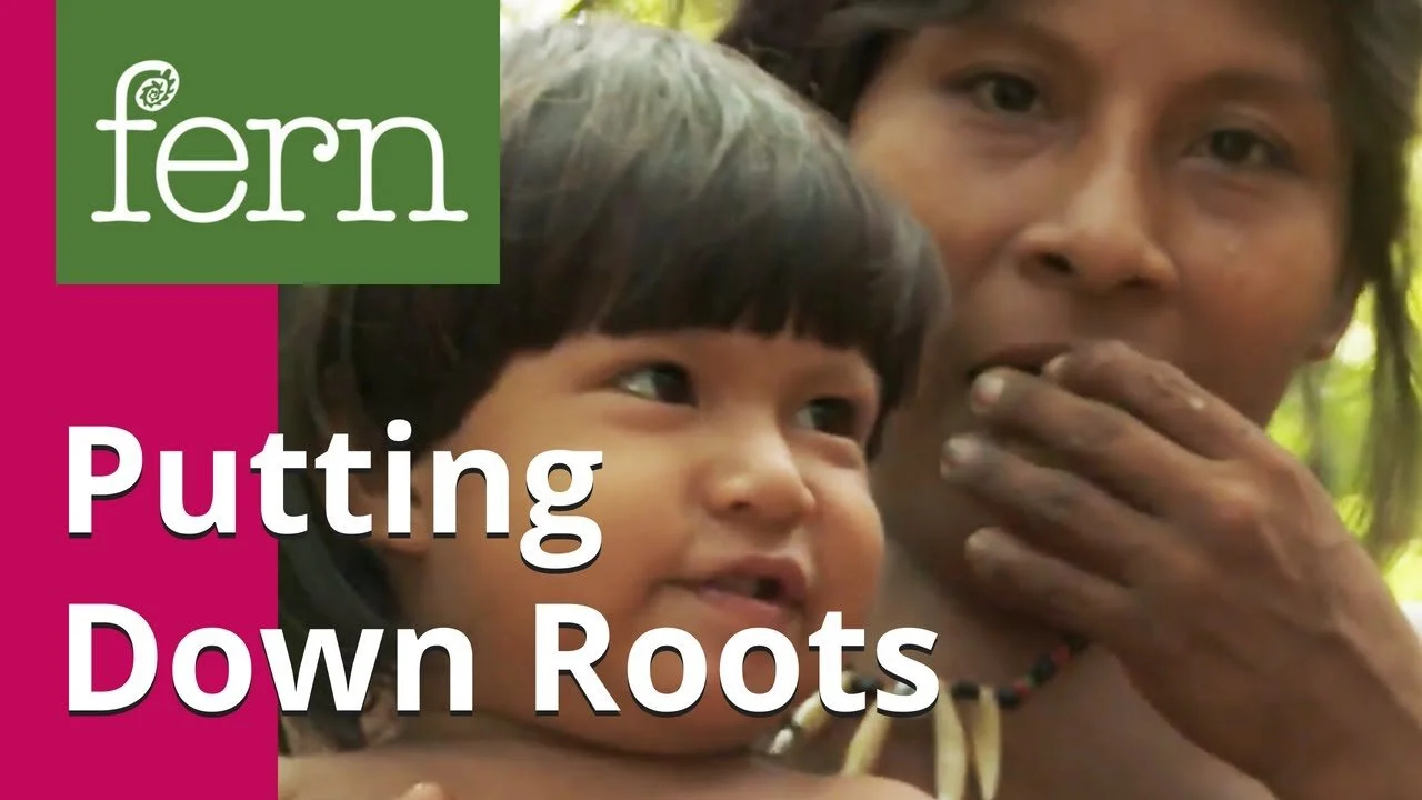 Putting Down Roots