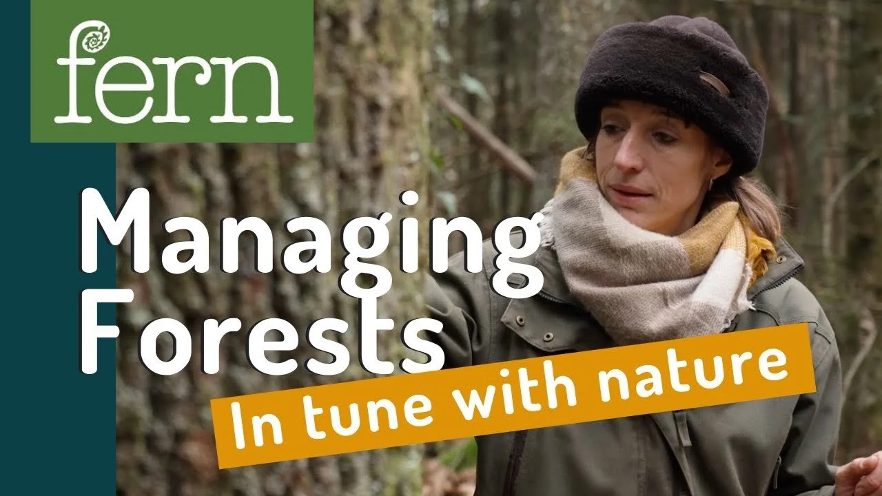 Managing Forests for the Future