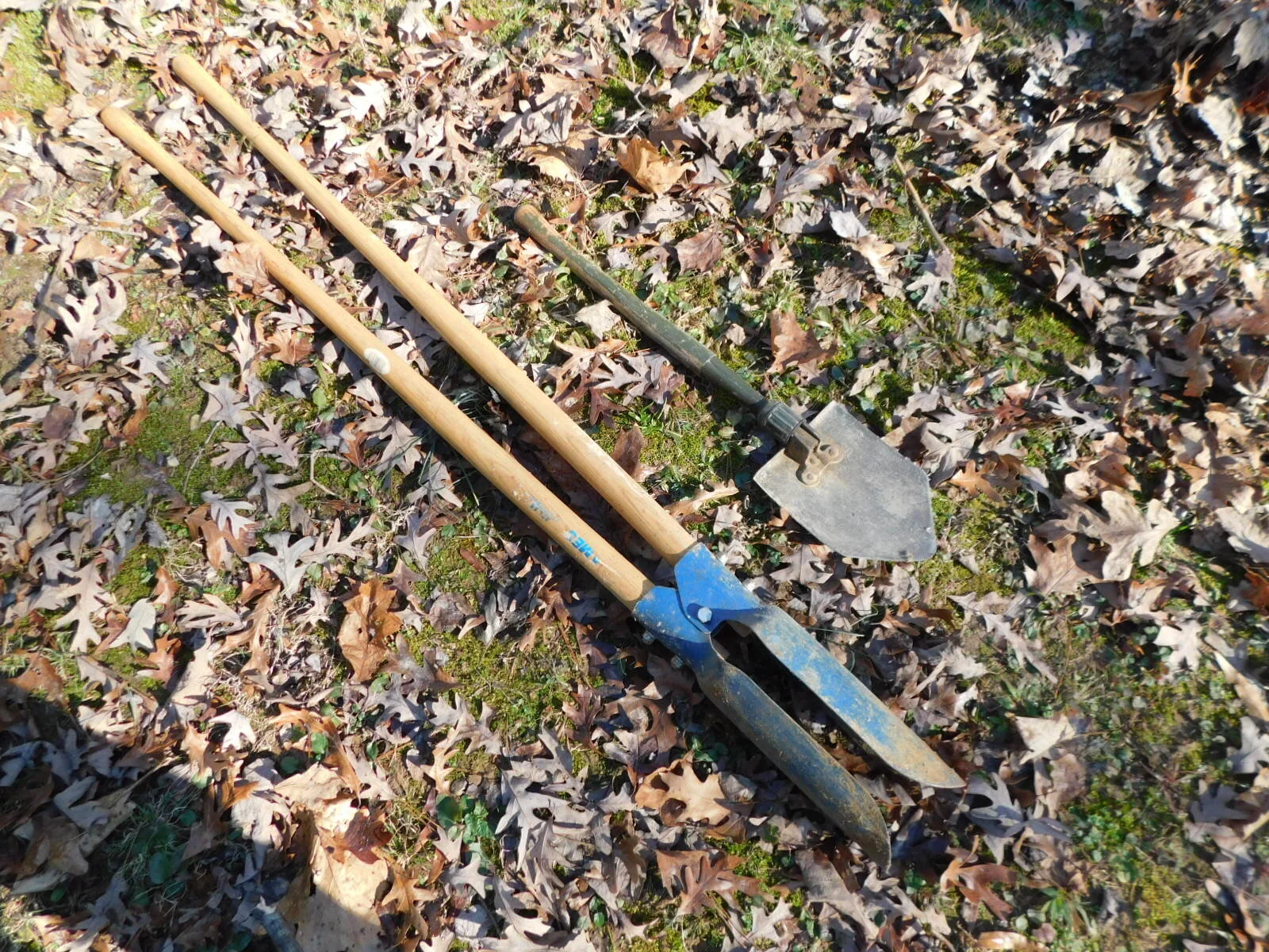 DSCN6534.JPG