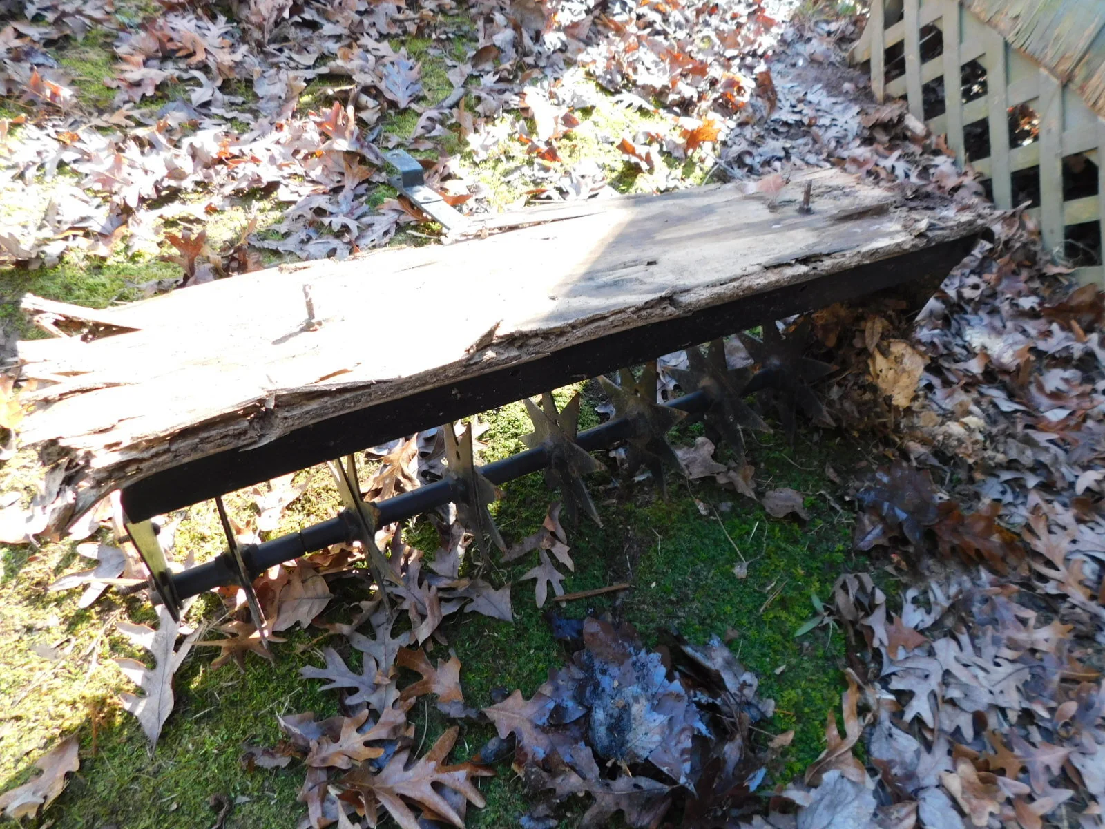 DSCN6525.JPG