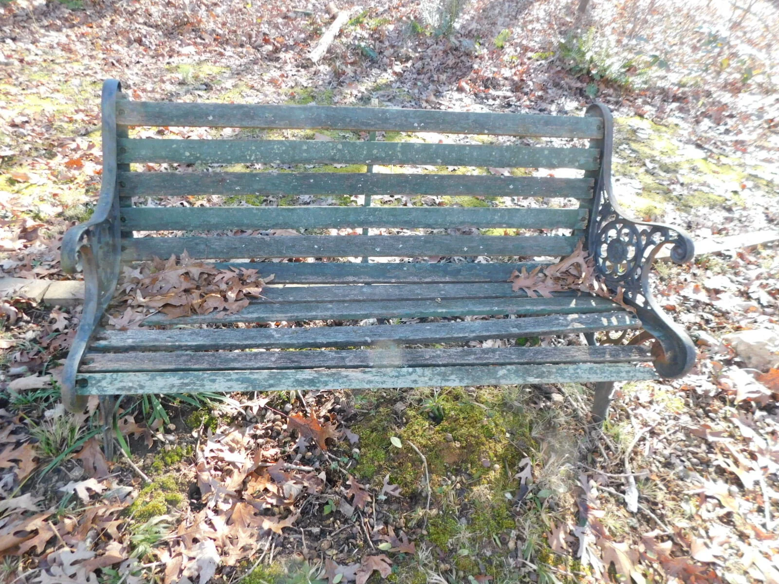 DSCN6508.JPG