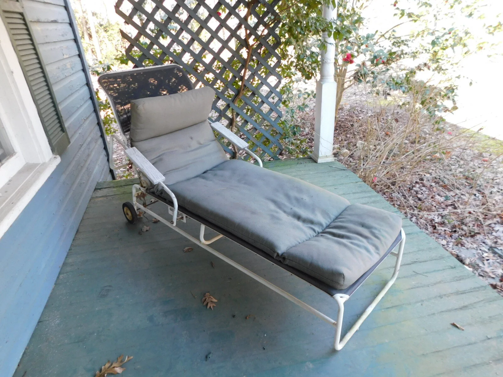 DSCN6502.JPG