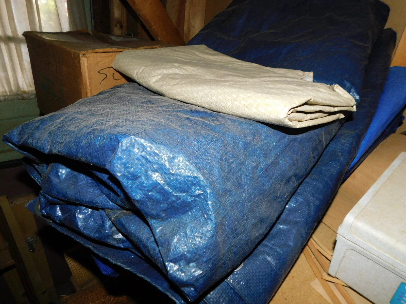 DSCN6432.JPG