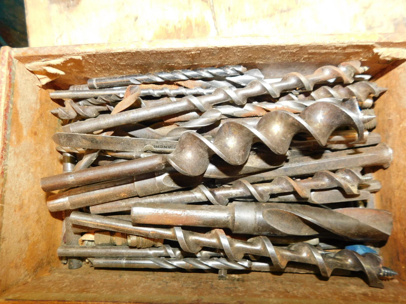 DSCN6409.JPG