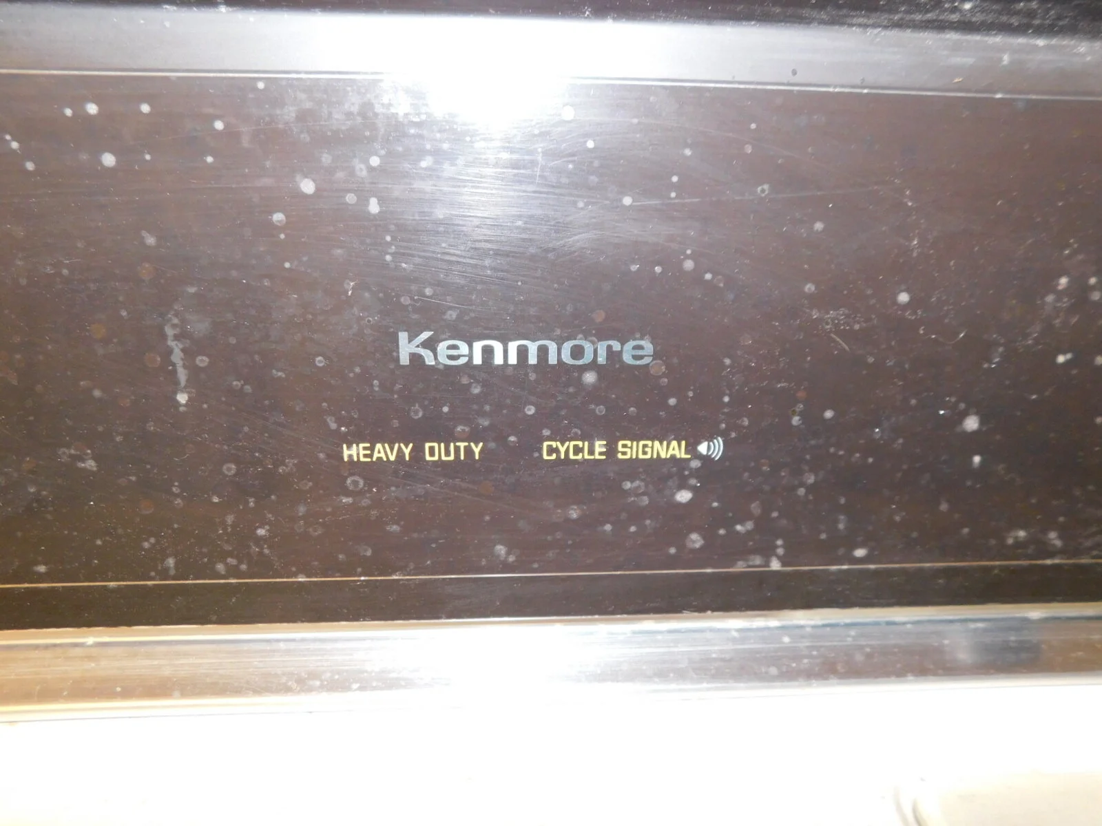 DSCN6359.JPG