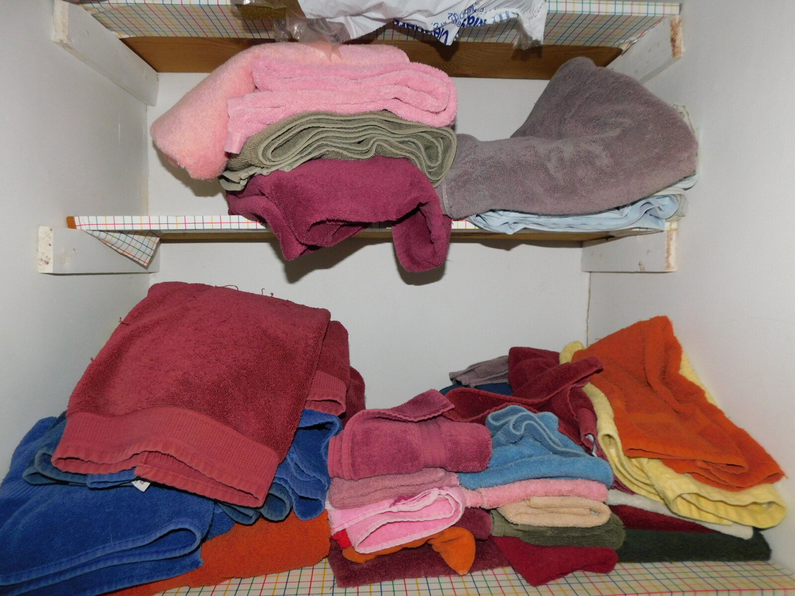 DSCN6354.JPG