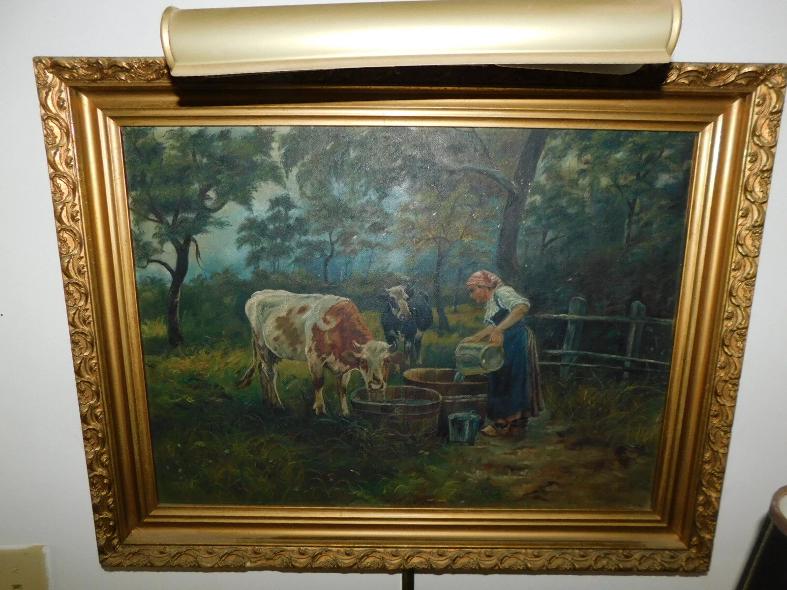 DSCN6204.JPG