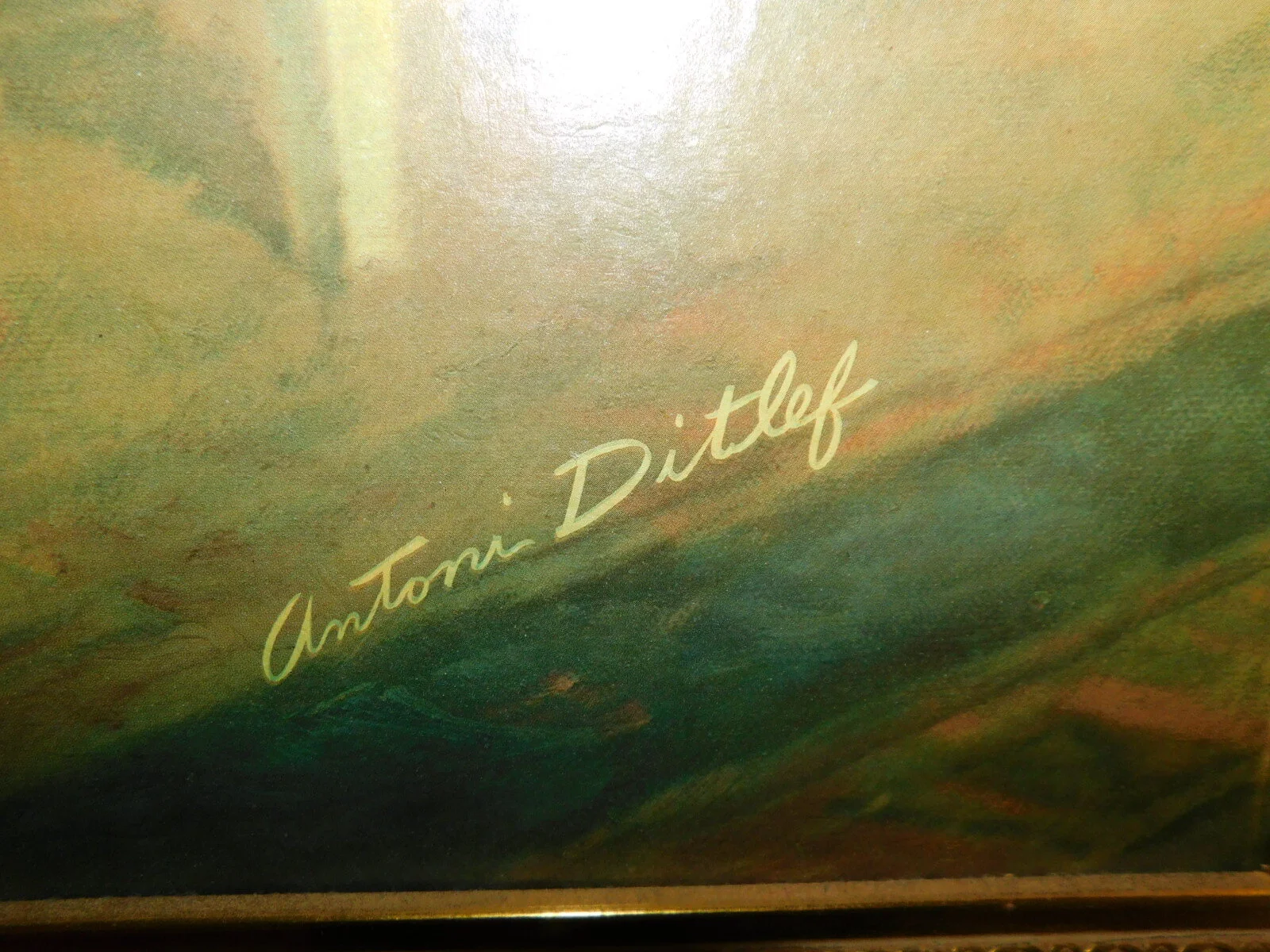 DSCN6195.JPG