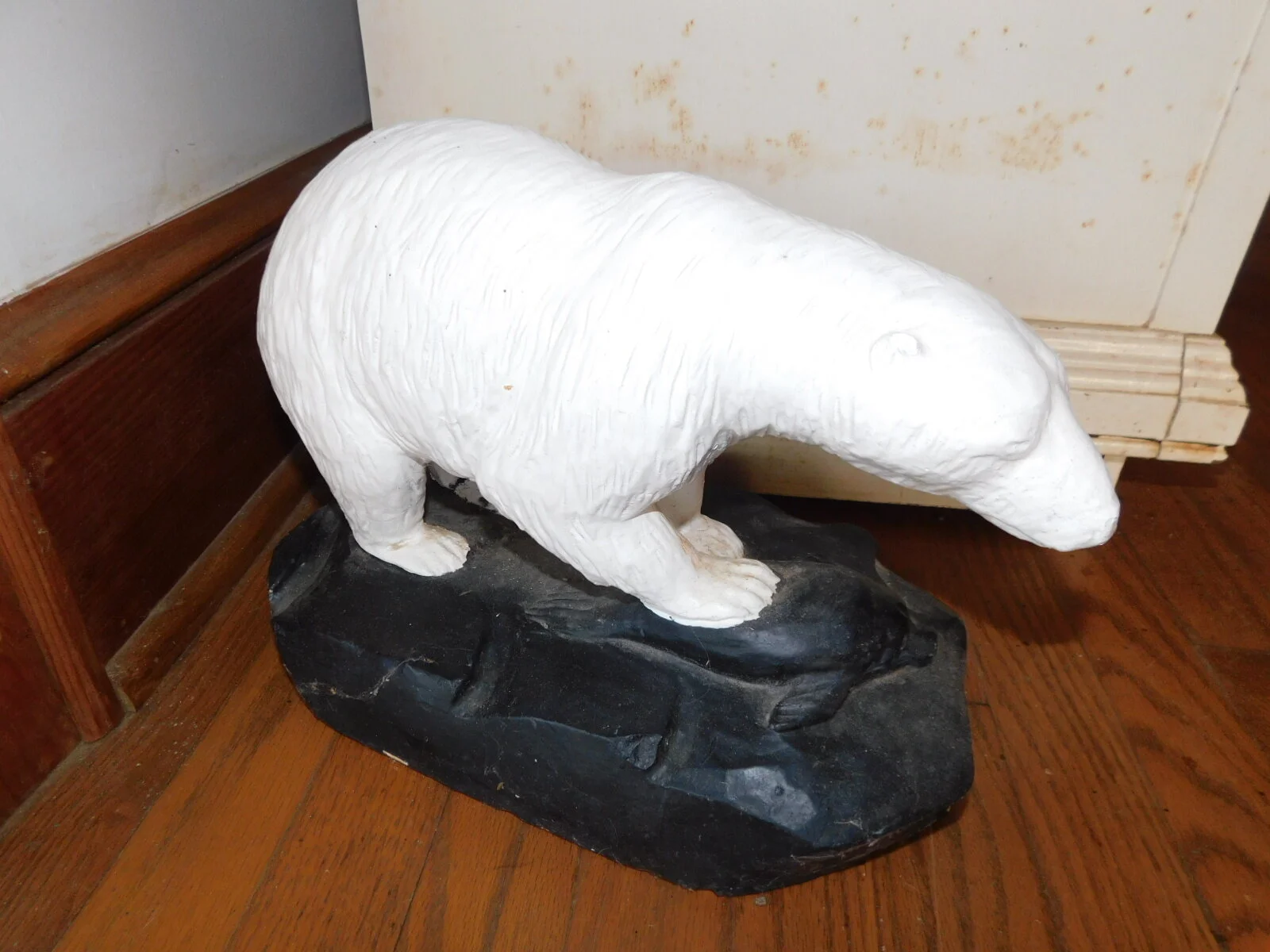 DSCN6239.JPG