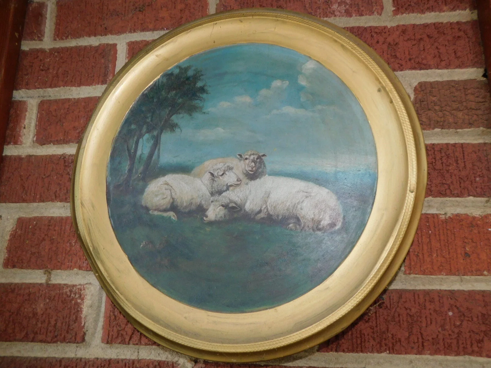 DSCN6222.JPG