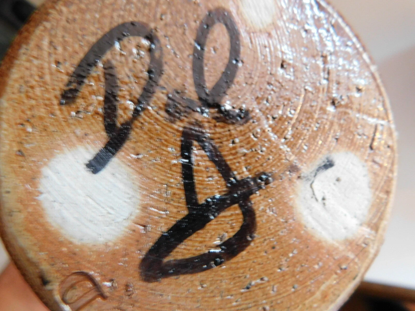 DSCN6264.JPG
