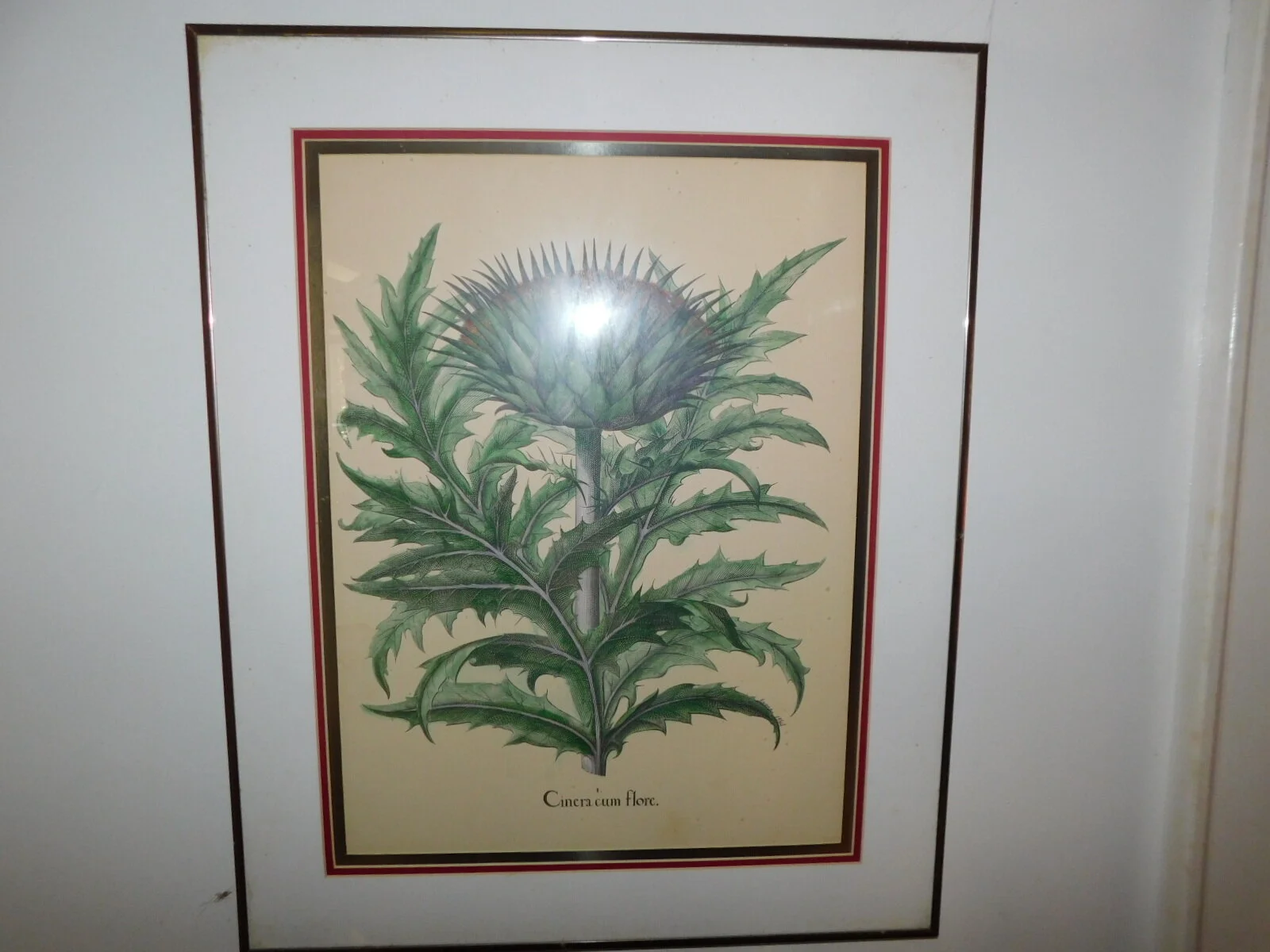 DSCN6311.JPG