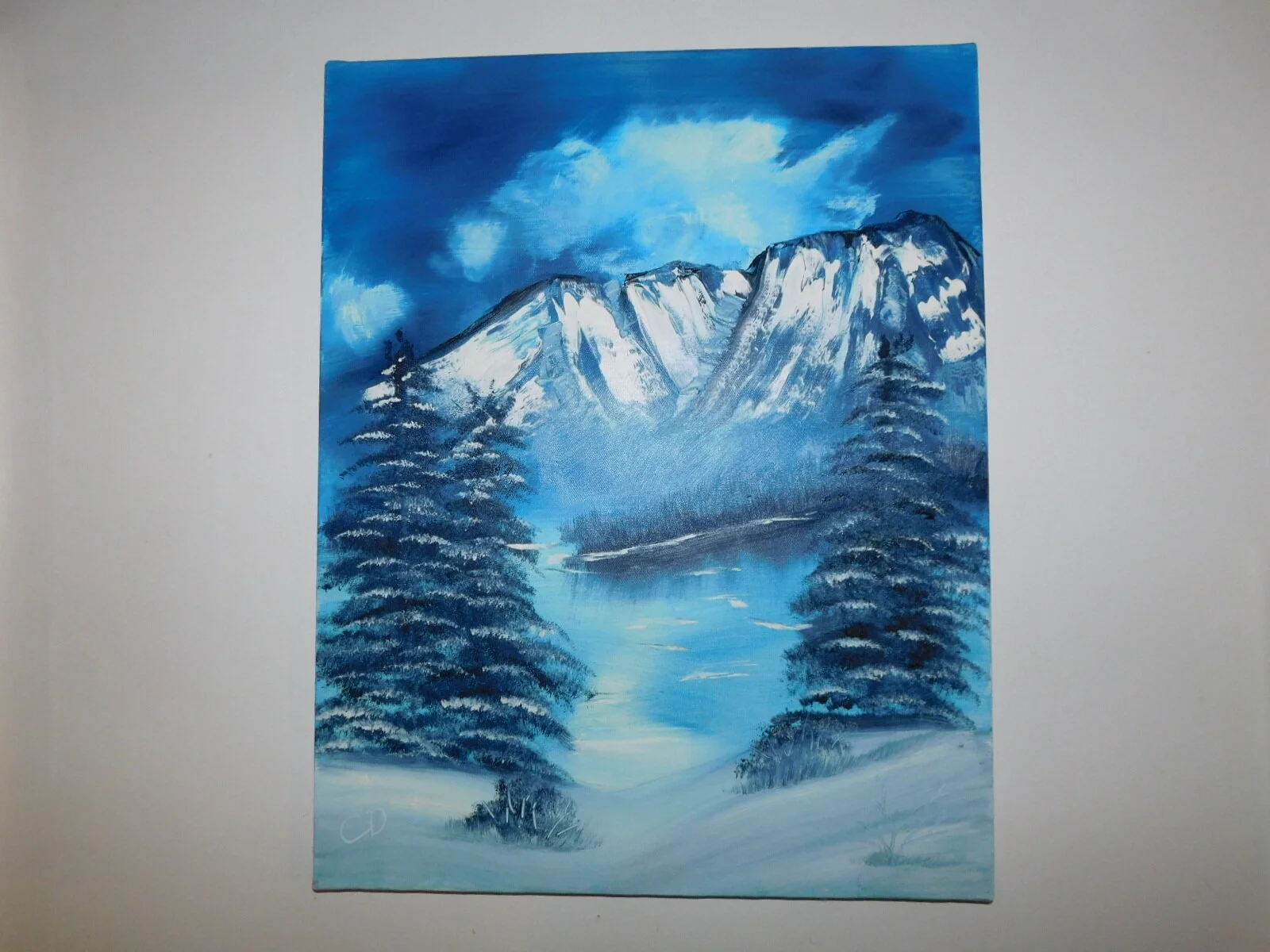 DSCN6310.JPG