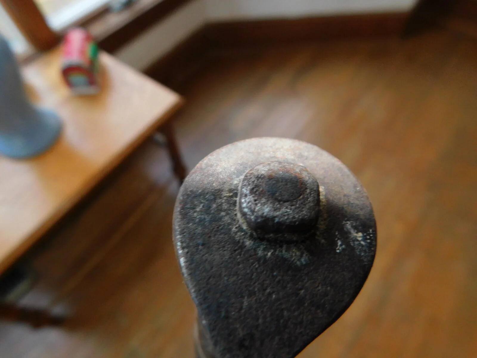 DSCN6295.JPG