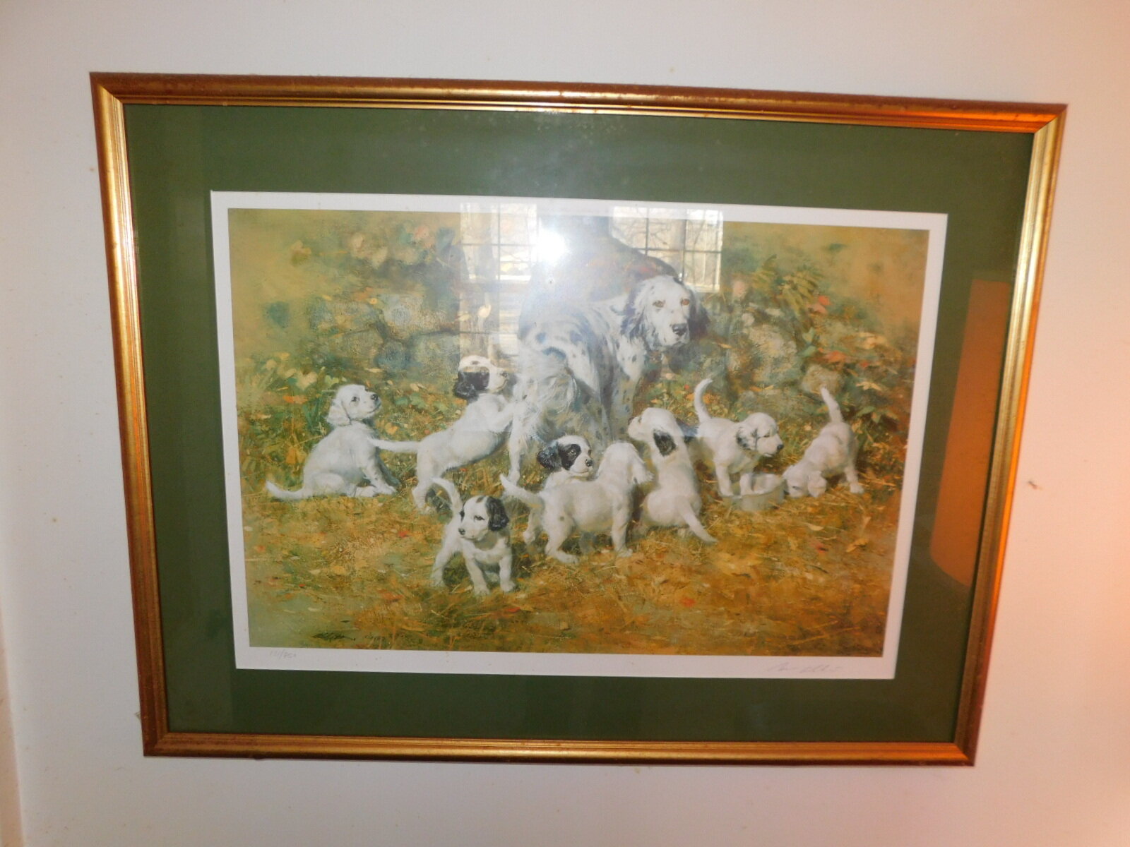 DSCN6346.JPG