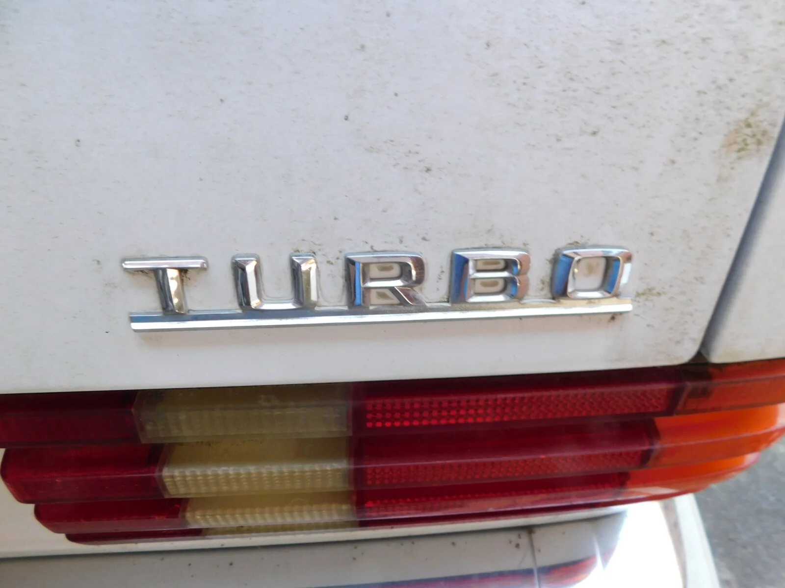 DSCN6581.JPG